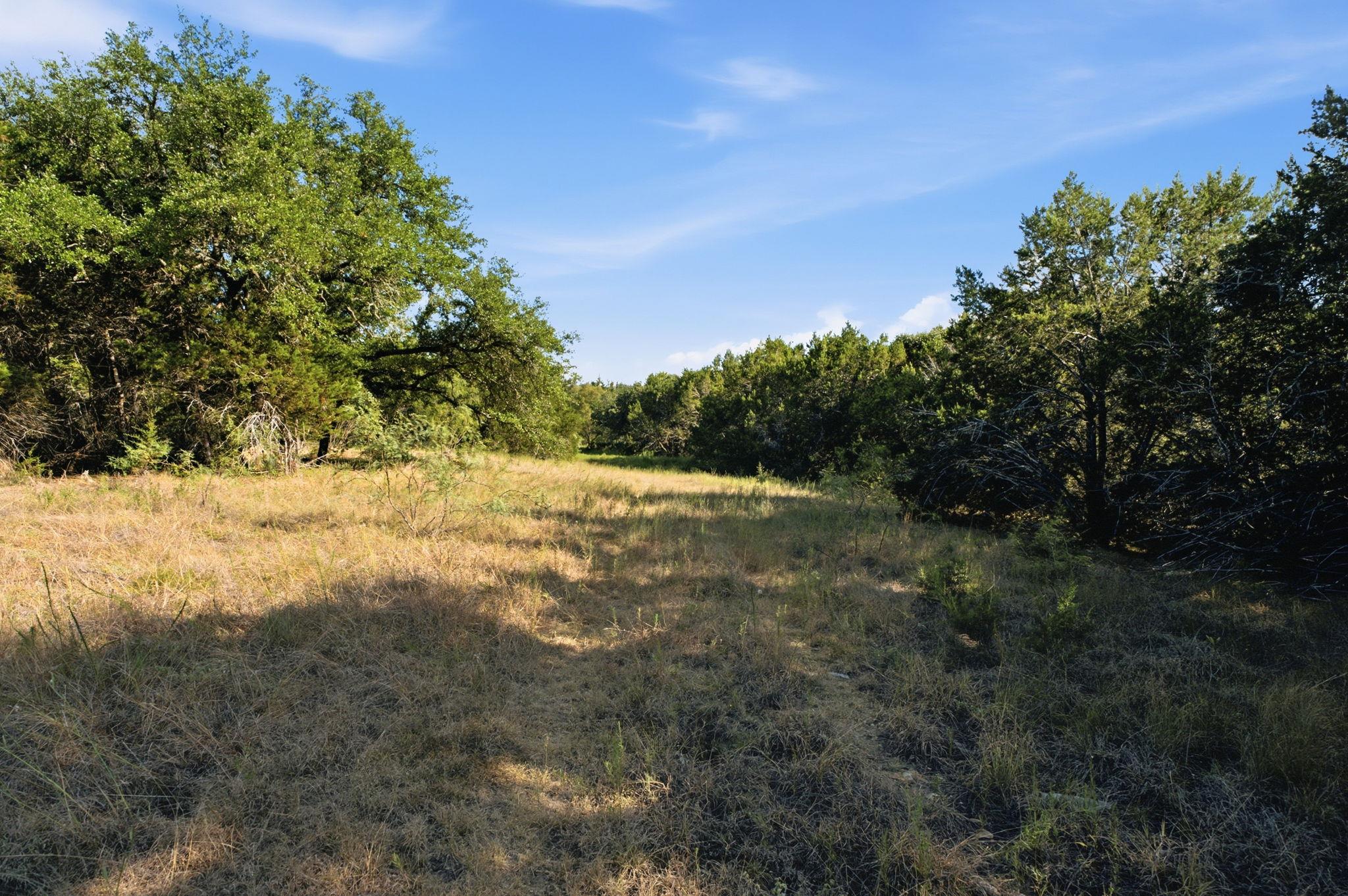 Tbd Lot 65 San Gabriel Cv Property Photo 5