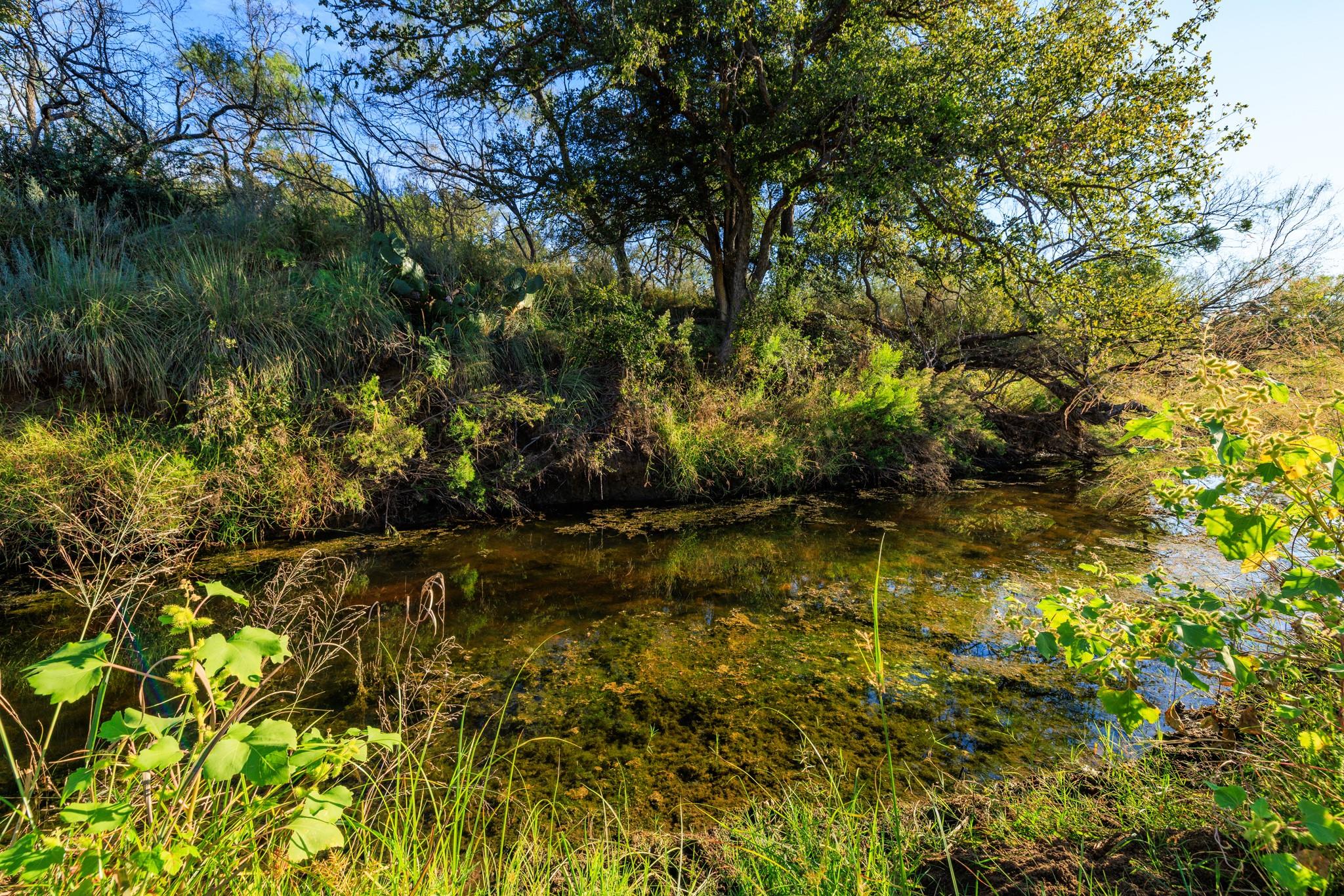 Tbd Ranch Road 965 None Property Photo 39