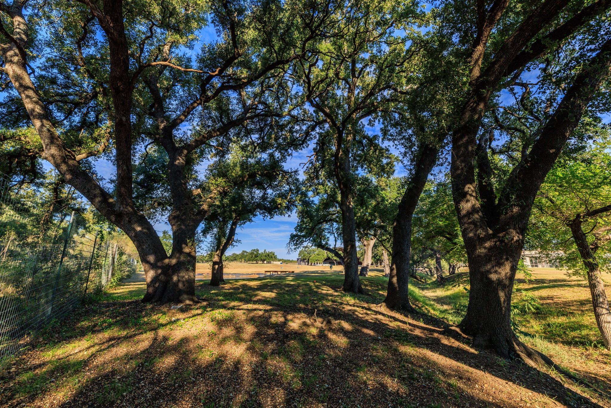Tbd Ranch Road 965 None Property Photo 40