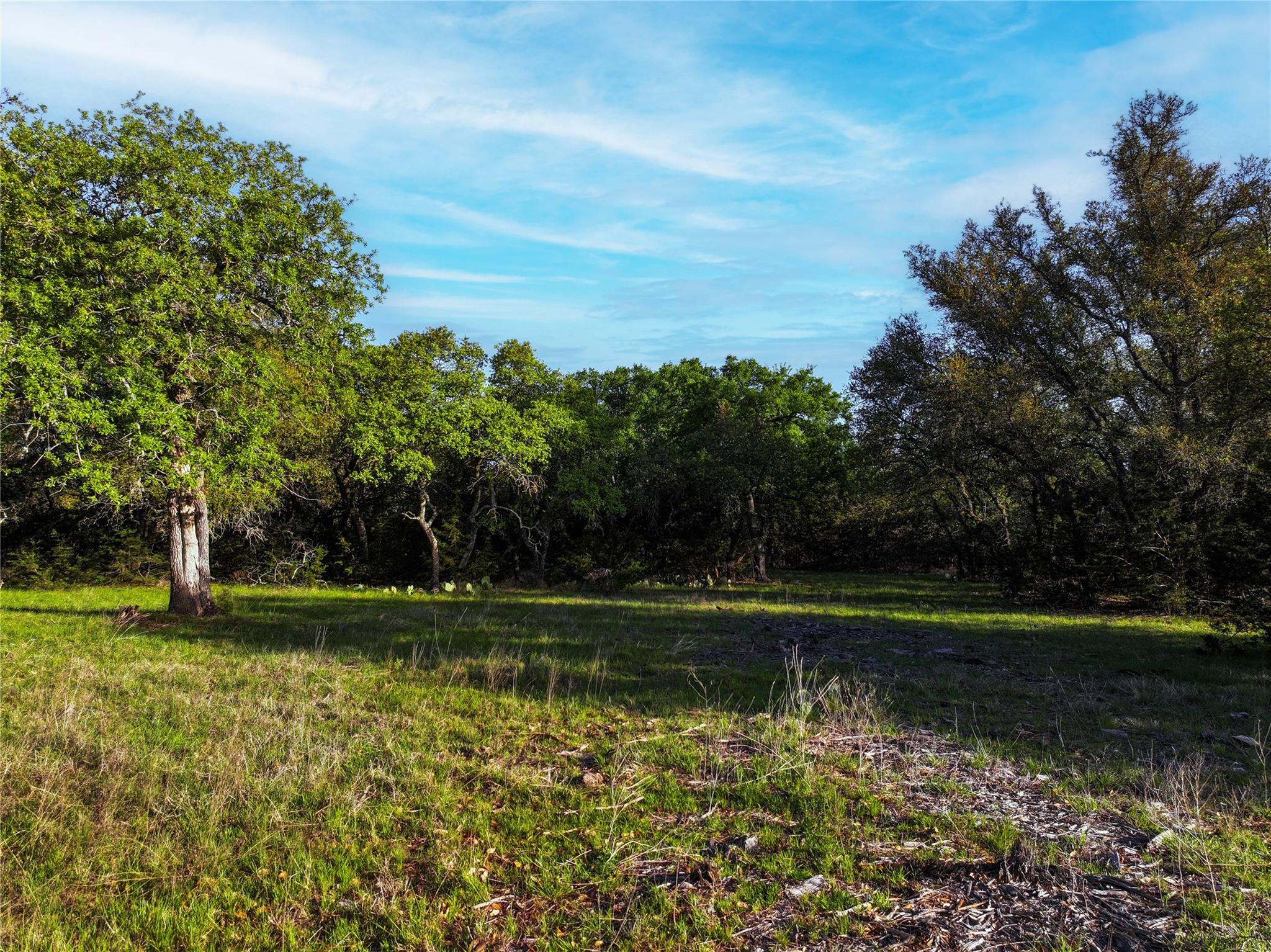 Lot 12 Shin Oak Dr Property Photo 1