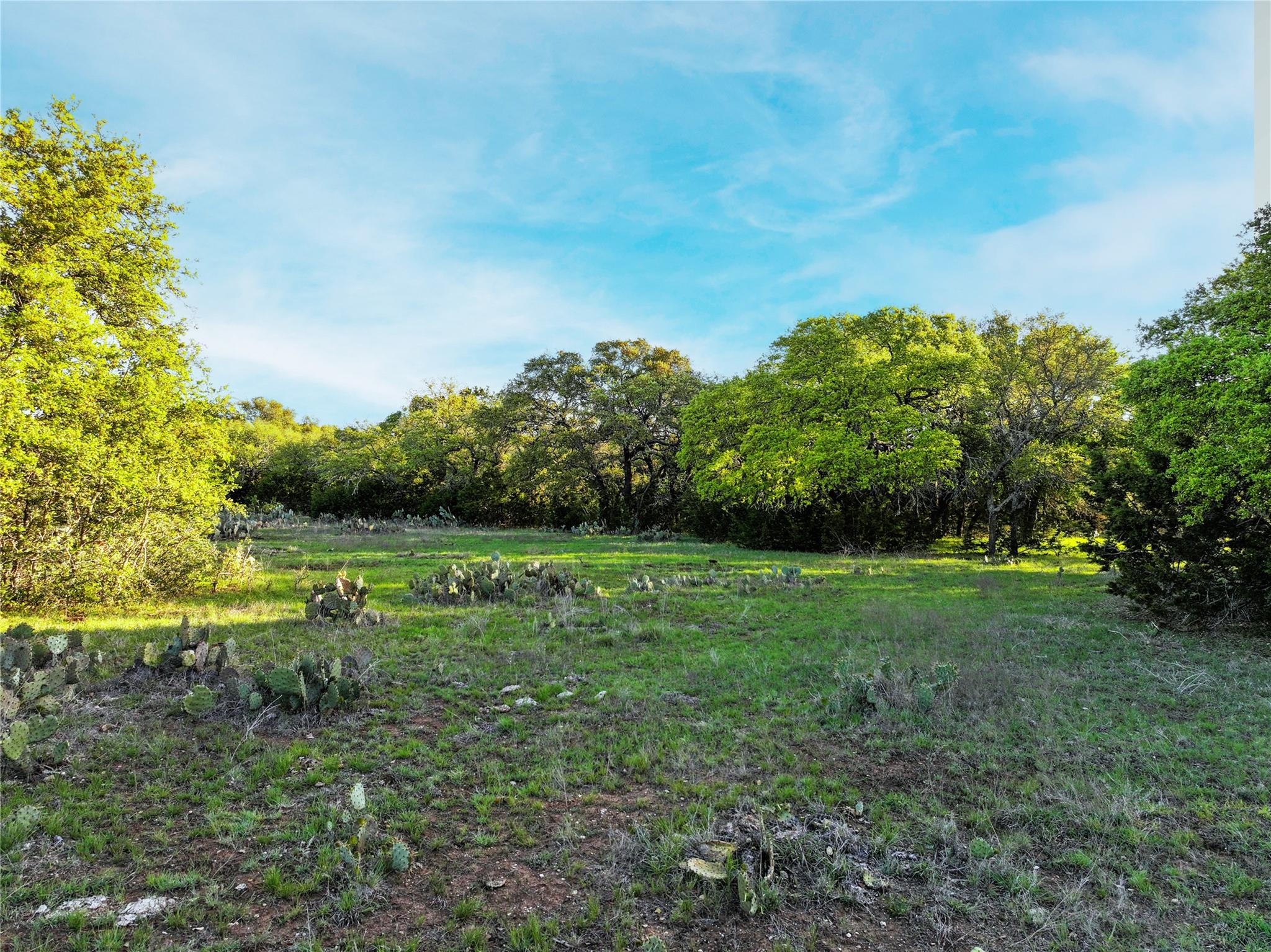 Lot 12 Shin Oak Dr Property Photo 2