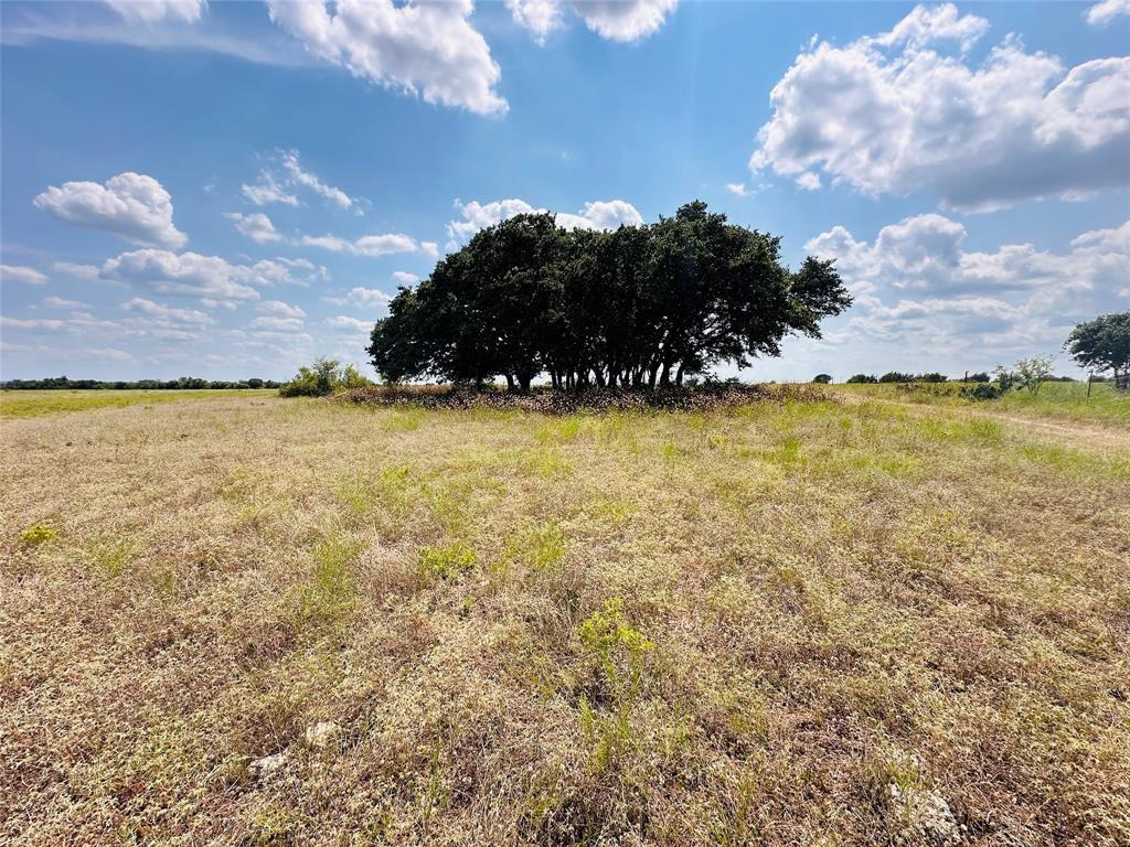 6985 County Road 200 Rd Property Photo 18