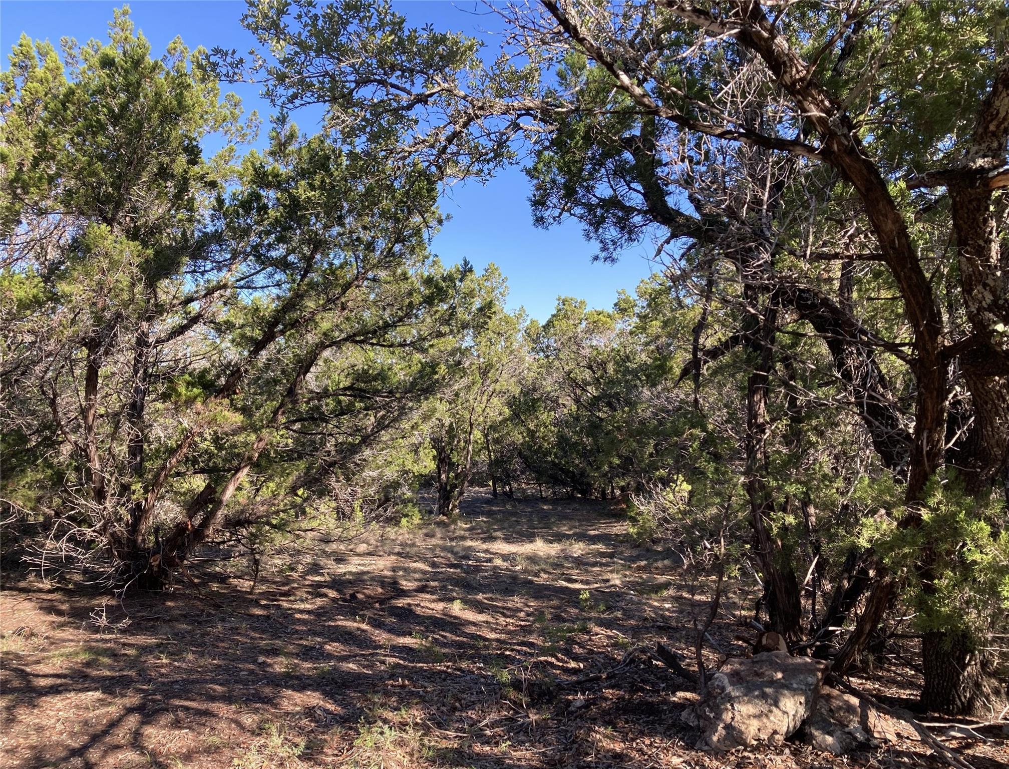 19500 Diversion Cir Property Photo 18