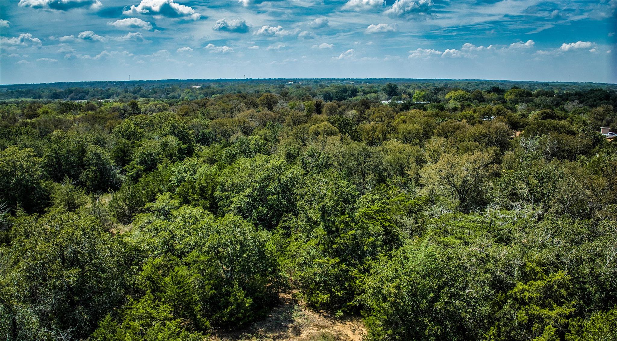Tbd Dale. Ln Property Photo 5