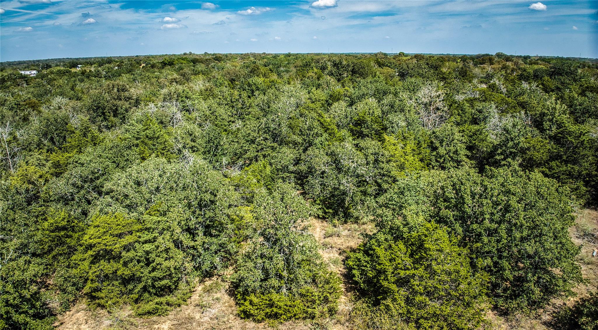 Tbd Dale. Ln Property Photo 6
