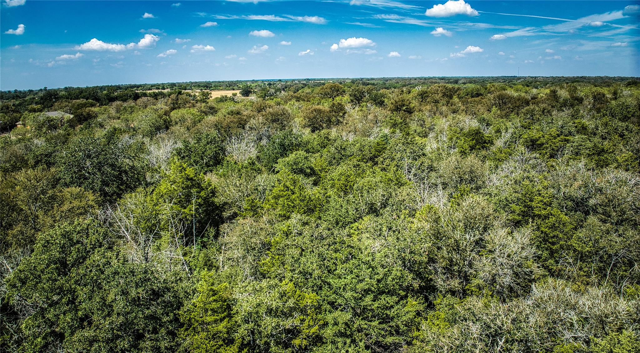 Tbd Dale. Ln Property Photo 7