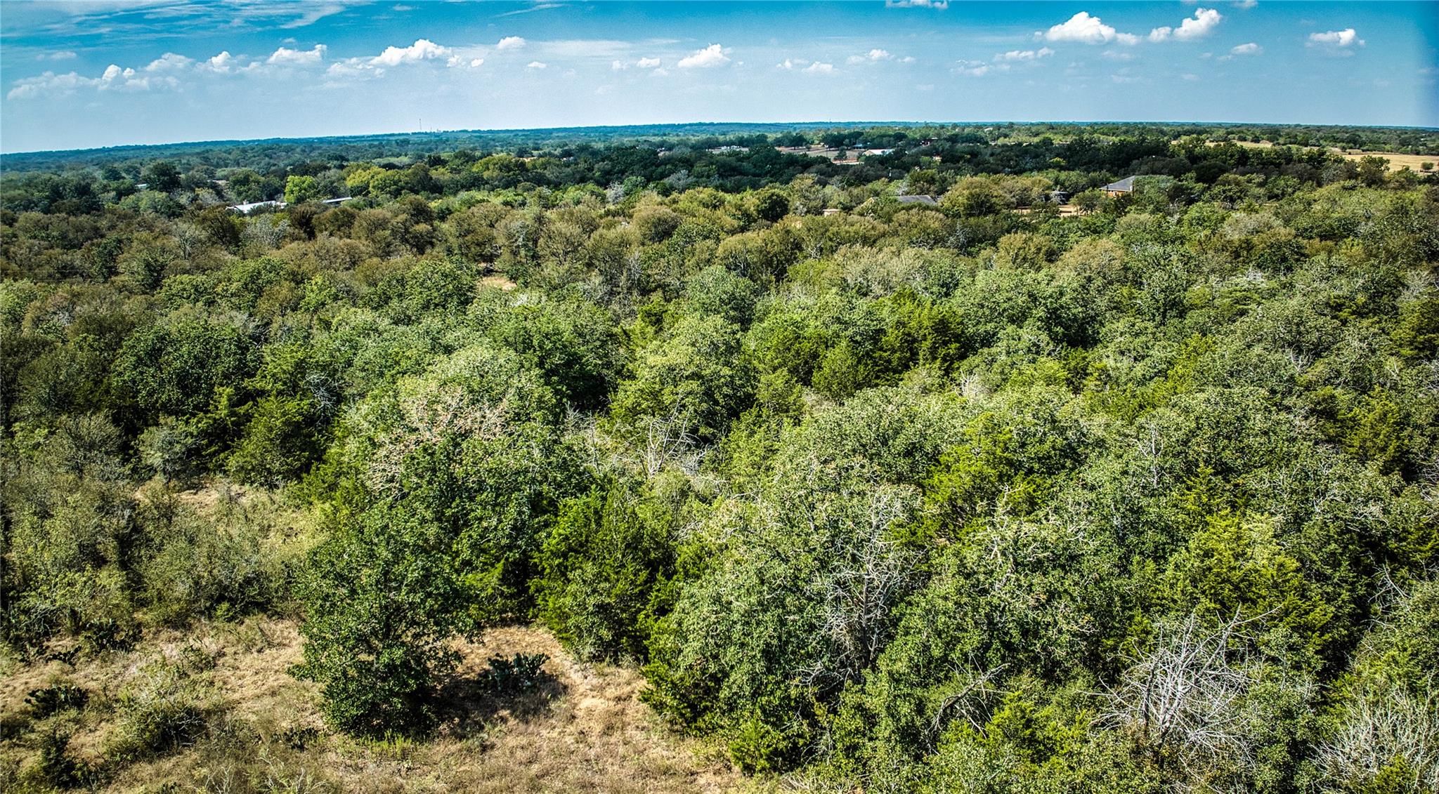 Tbd Dale. Ln Property Photo 8