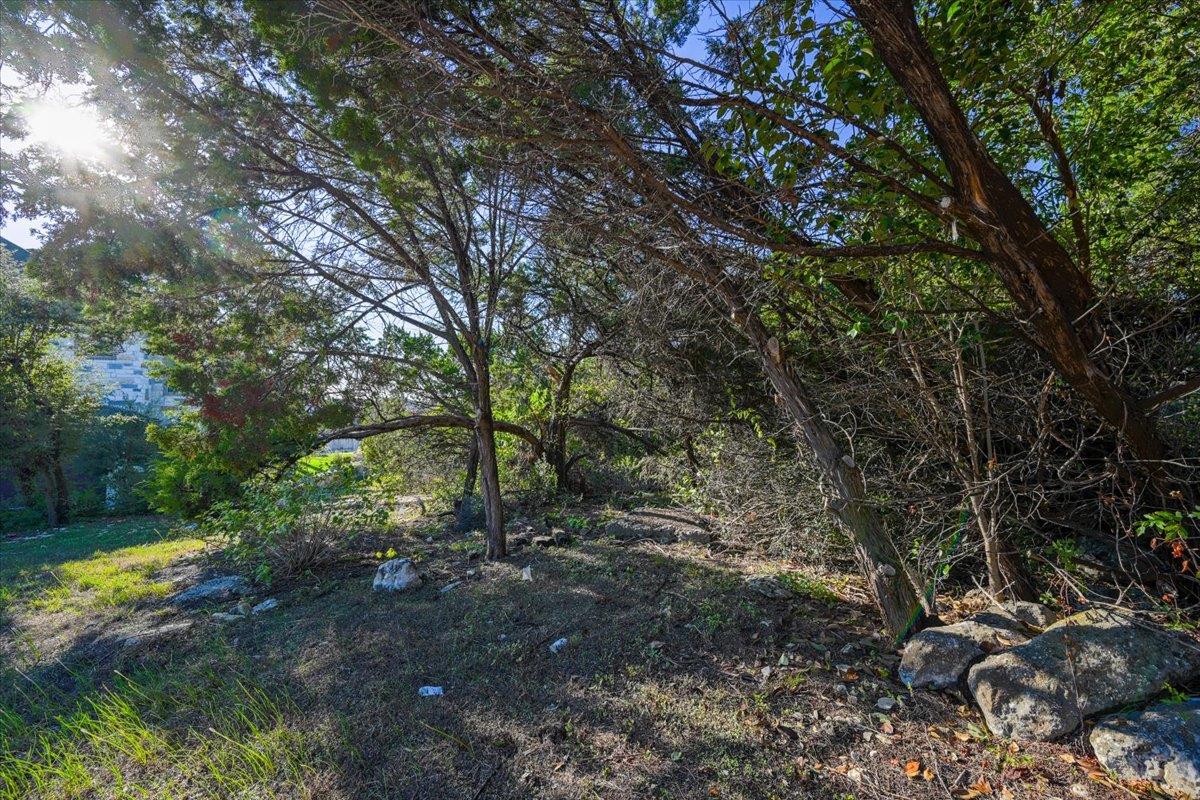 803 Savanna Ln Property Photo 8
