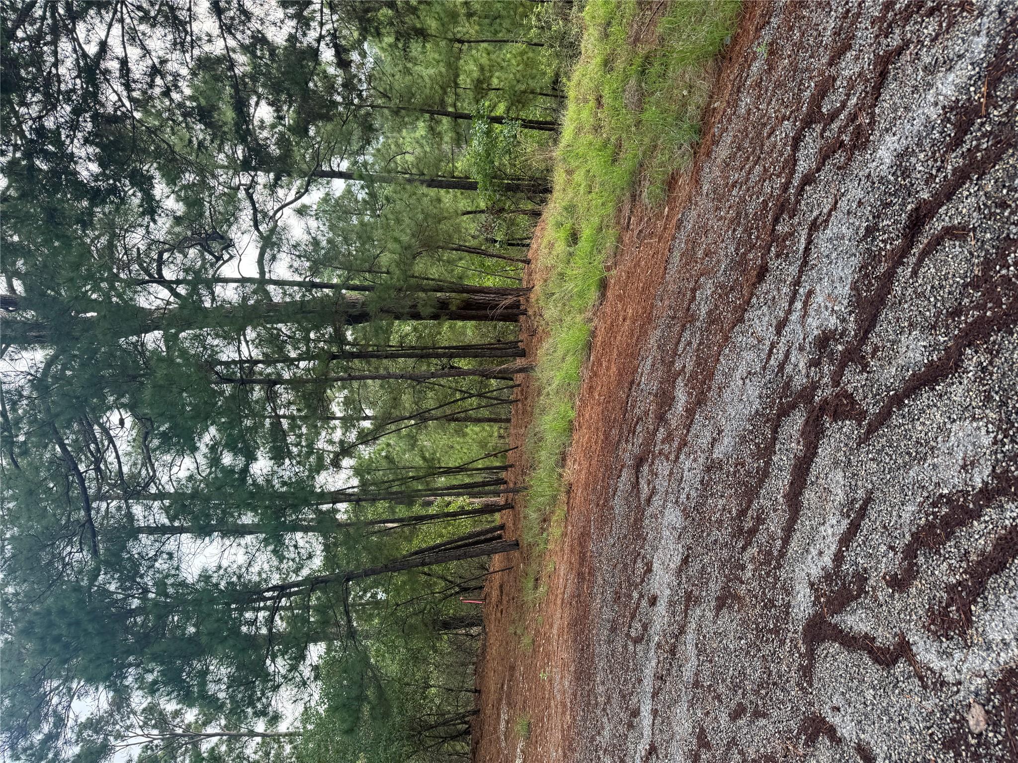 Lot 1492 Haleakala None Property Photo 1