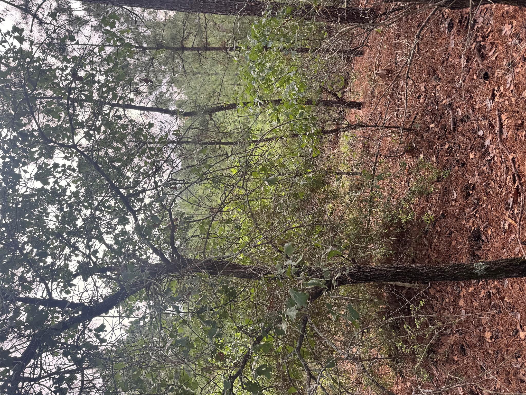 Lot 1492 Haleakala None Property Photo 4