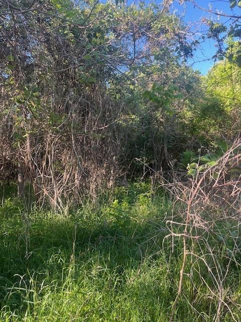 167 Kahana Ln Property Photo 2