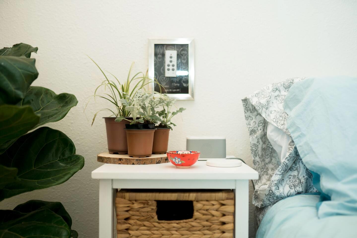 6478345 Property Photo 11