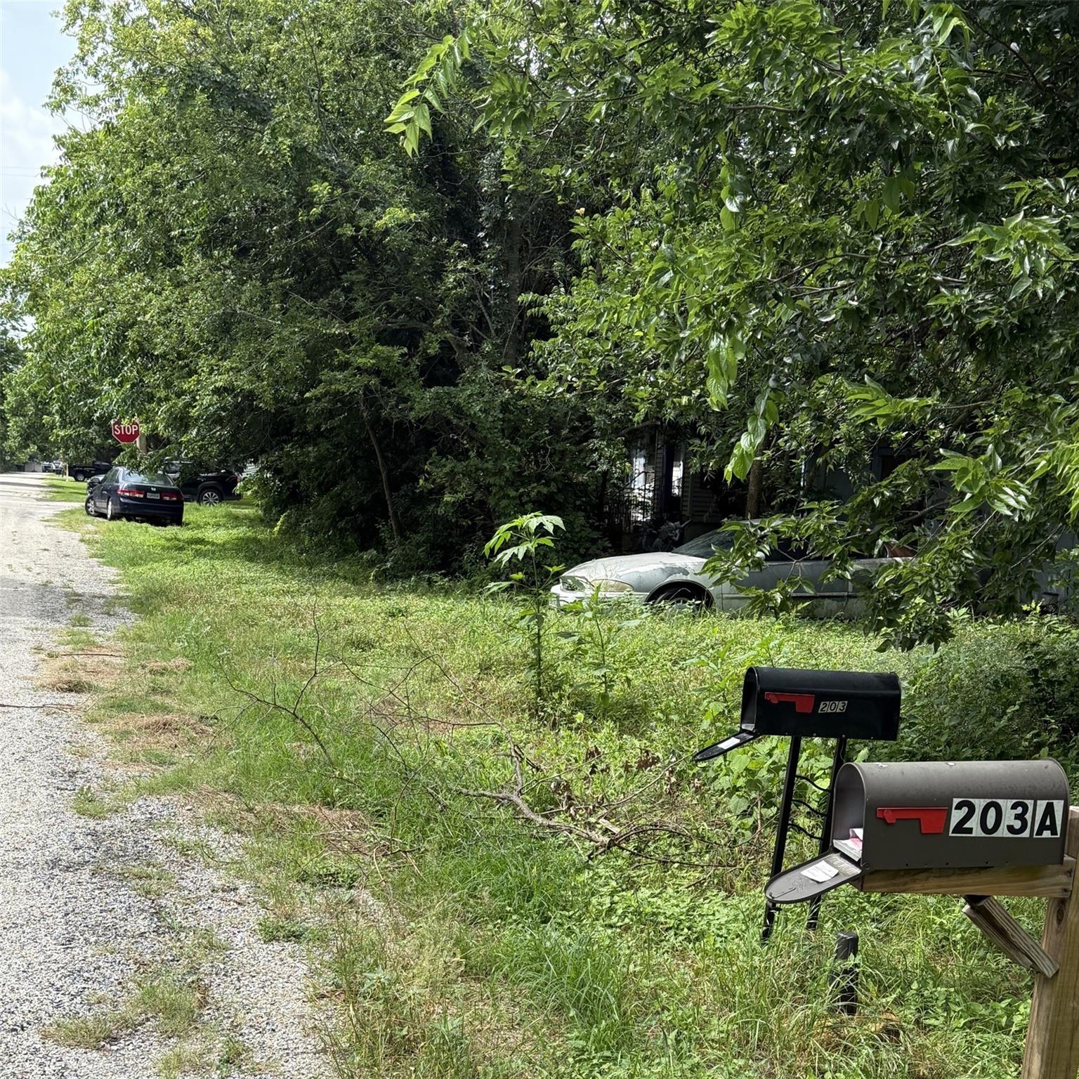 203 Vernon St #a Property Photo 3