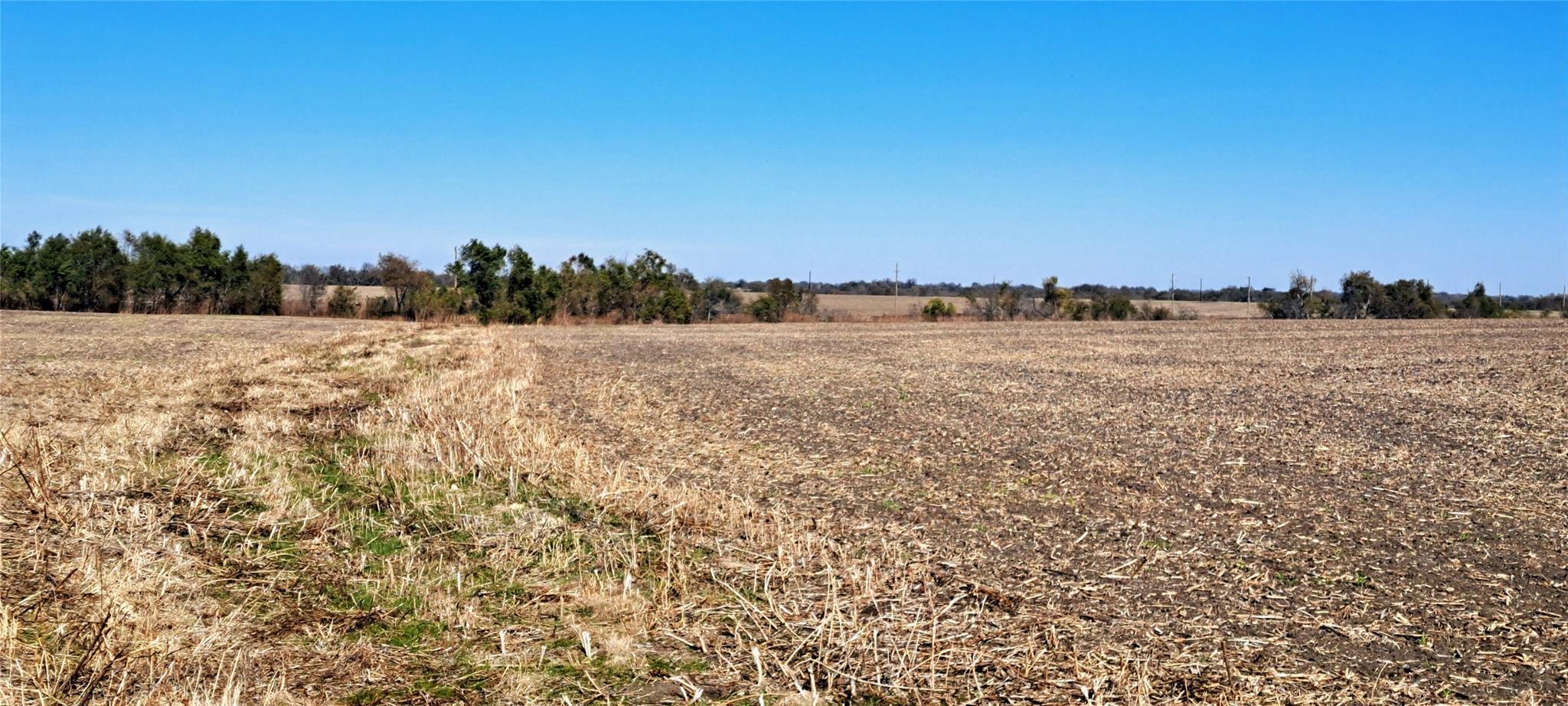 972 Fm Highway Property Photo 6