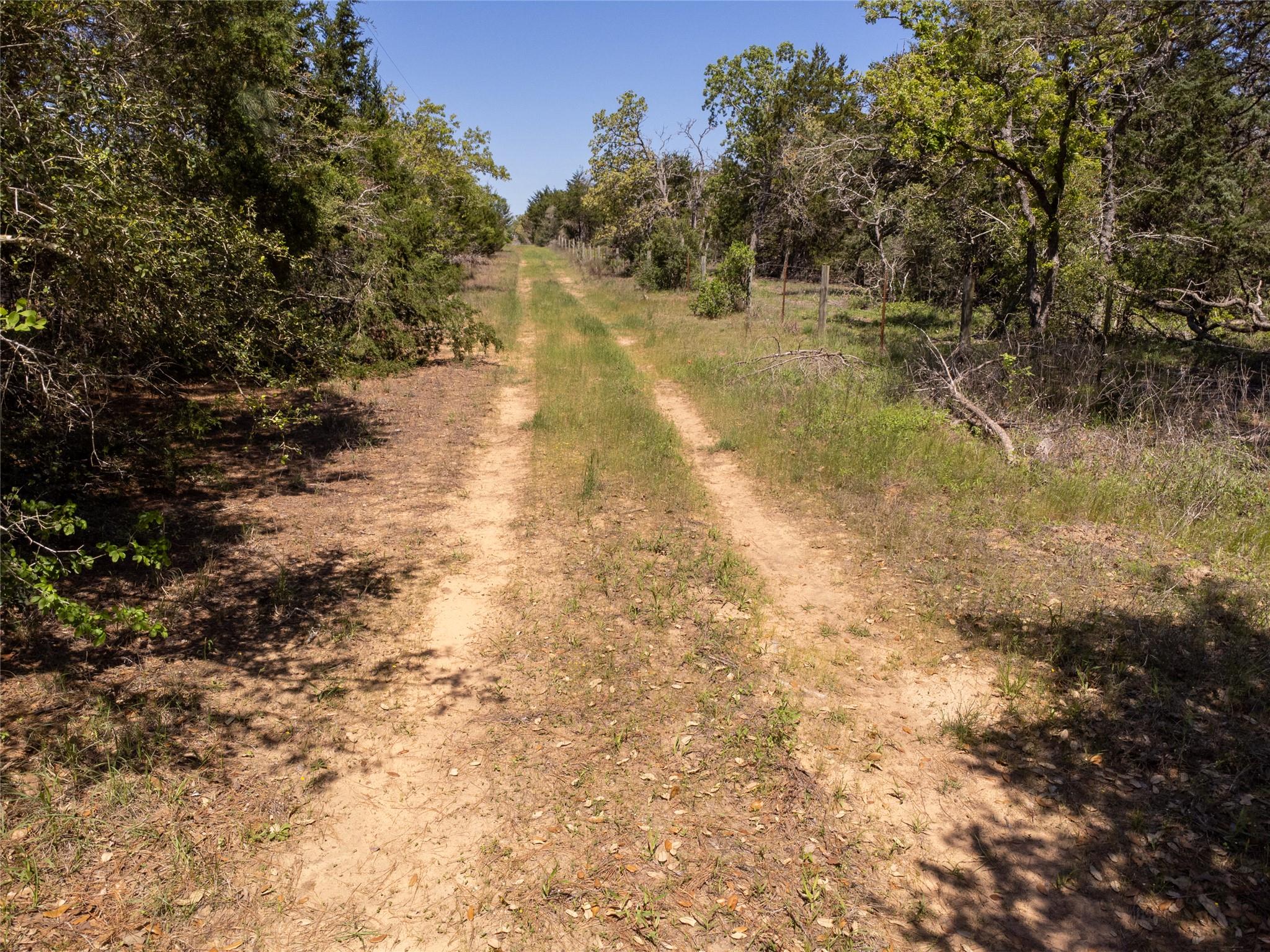 2516 Sandy Fork Rd Property Photo 8