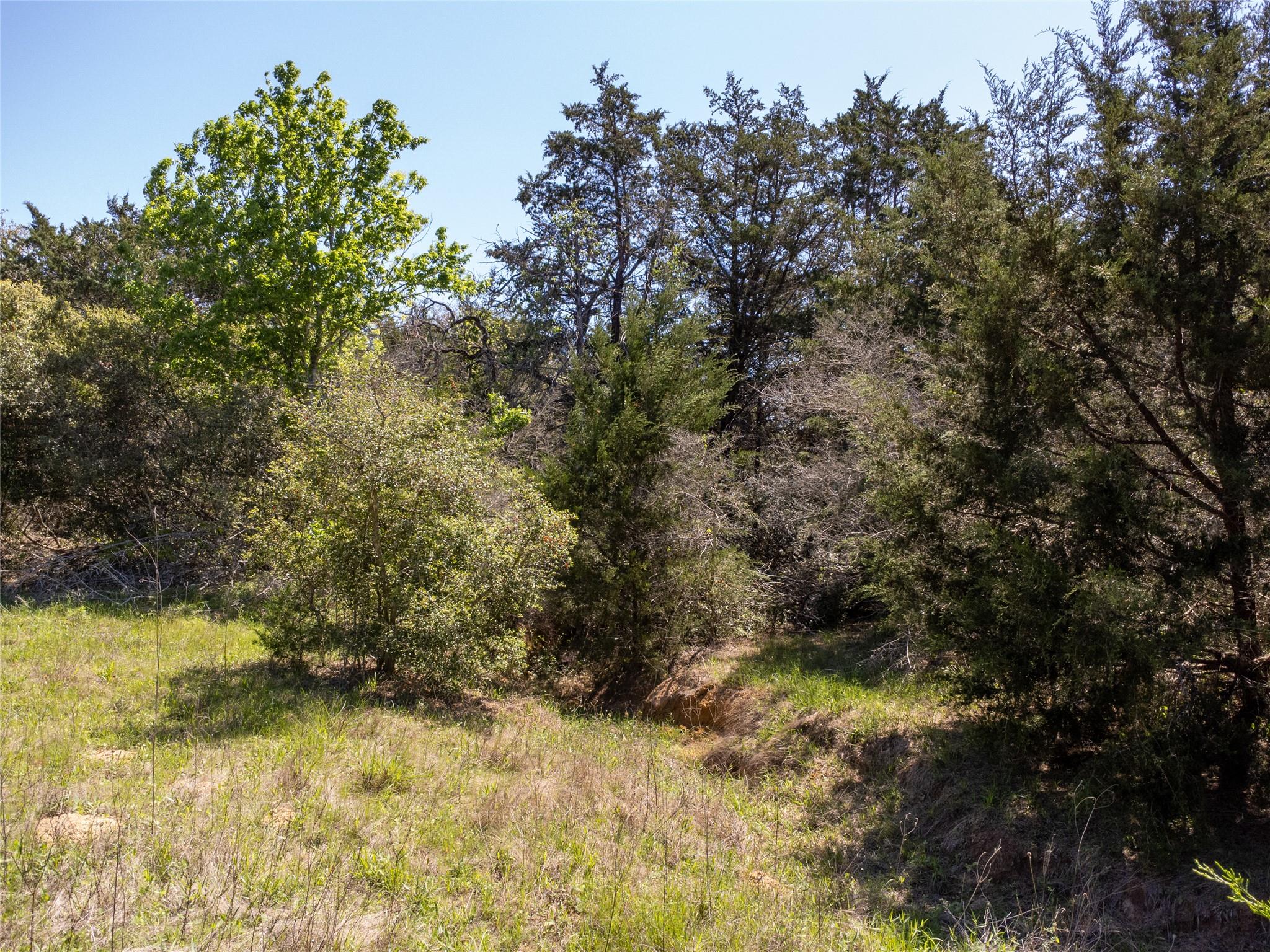 2516 Sandy Fork Rd Property Photo 9