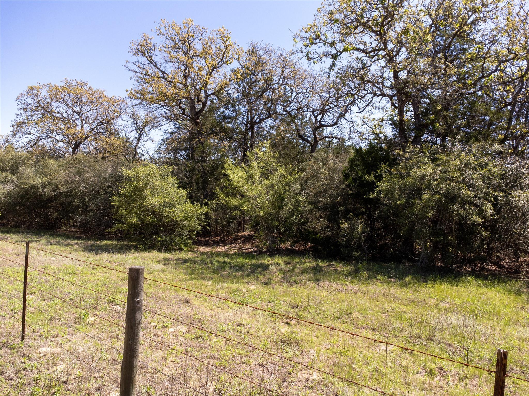 2516 Sandy Fork Rd Property Photo 10