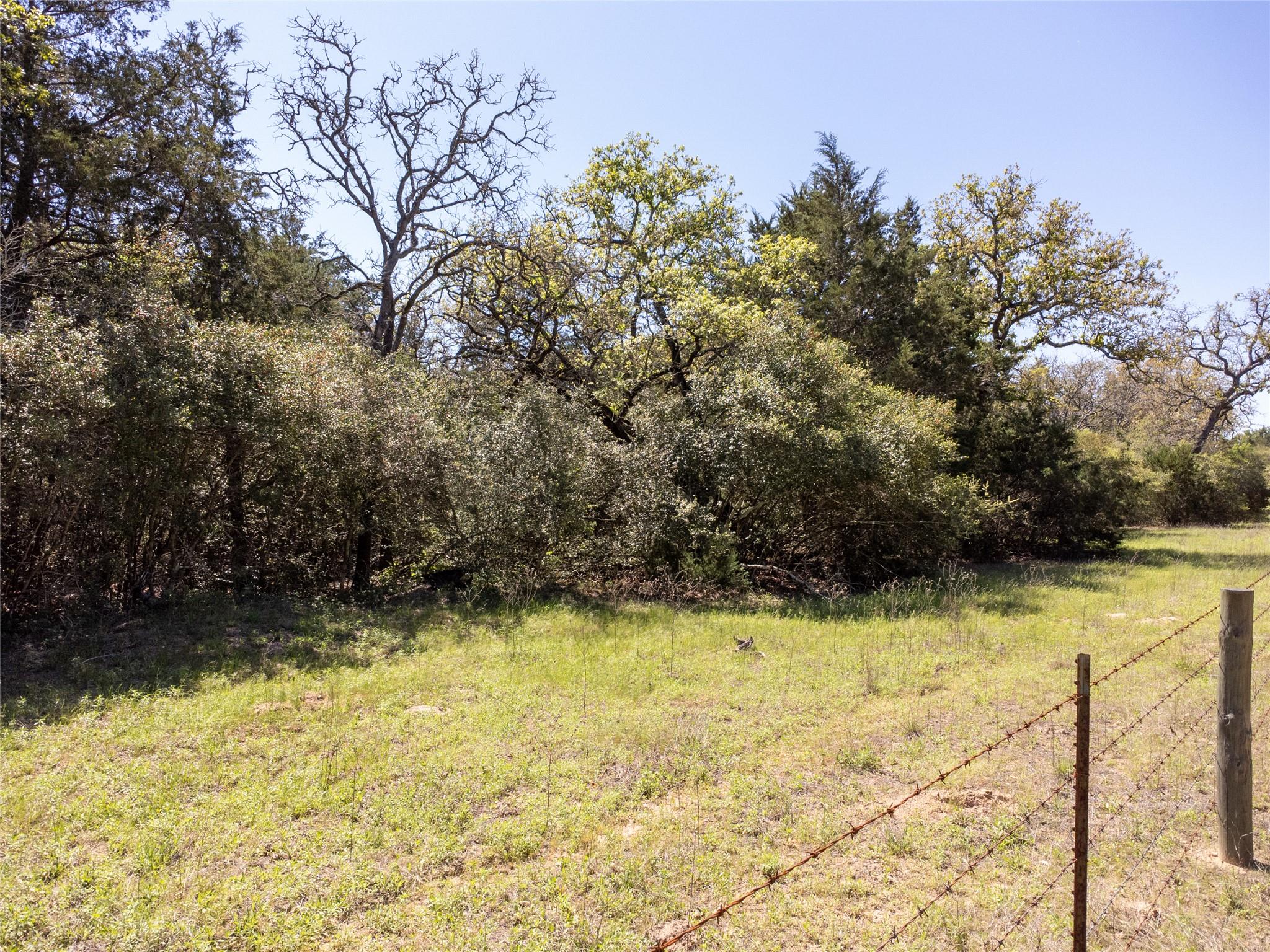 2516 Sandy Fork Rd Property Photo 11