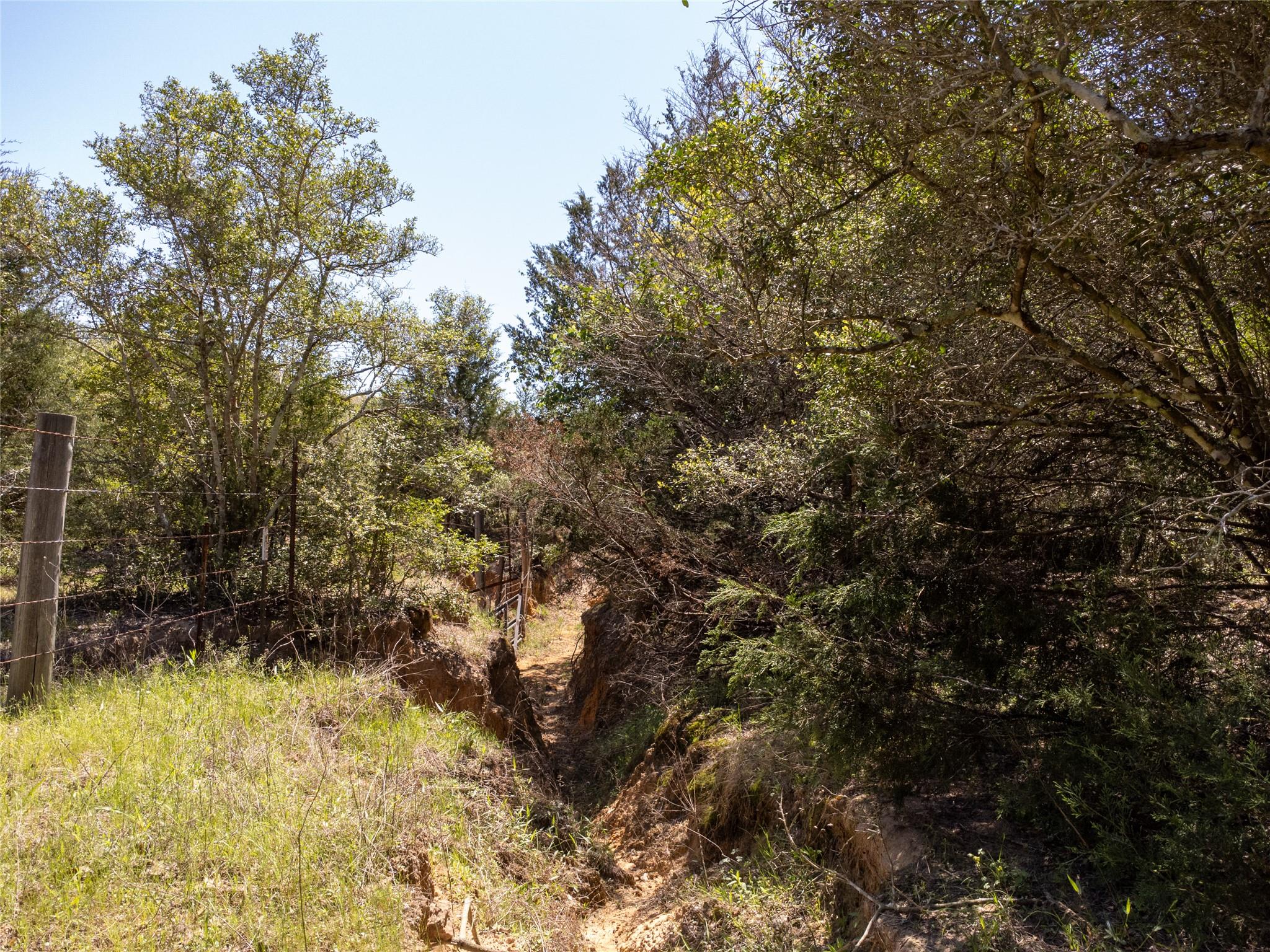 2516 Sandy Fork Rd Property Photo 16