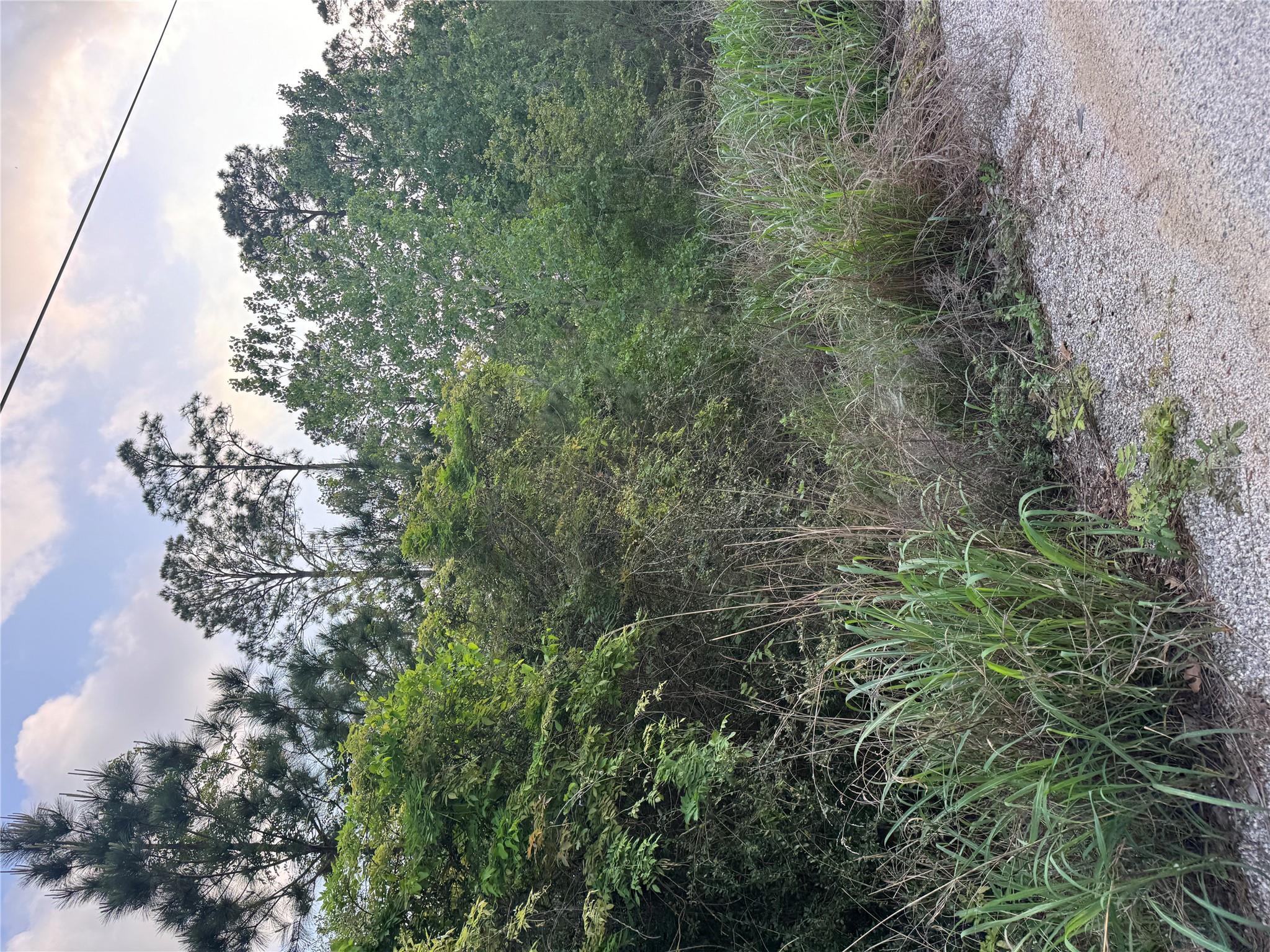 Lot 1386 N Pahihi Dr Property Photo 1