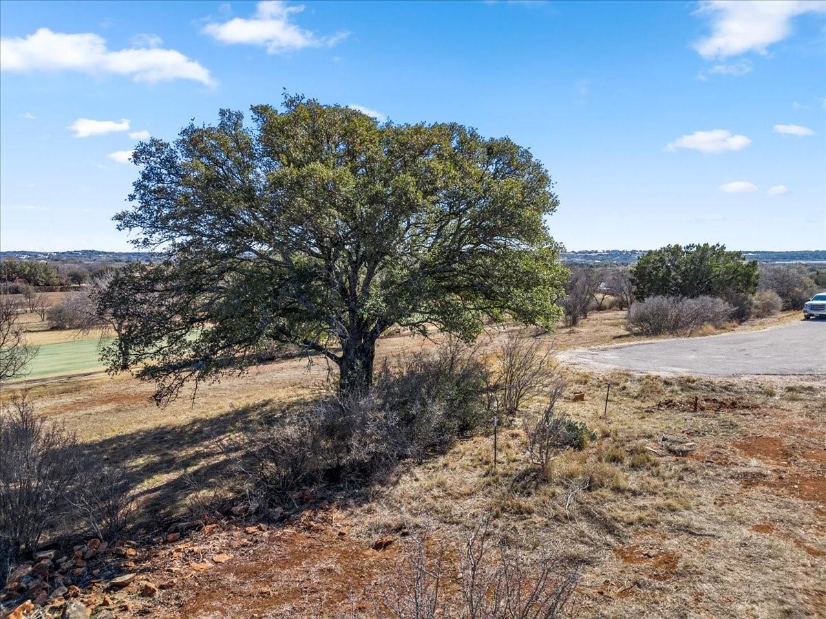 318 Red Wine None Property Photo 25