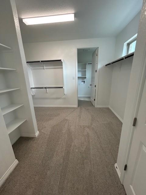 408 Ridgewell Loop Property Photo 10