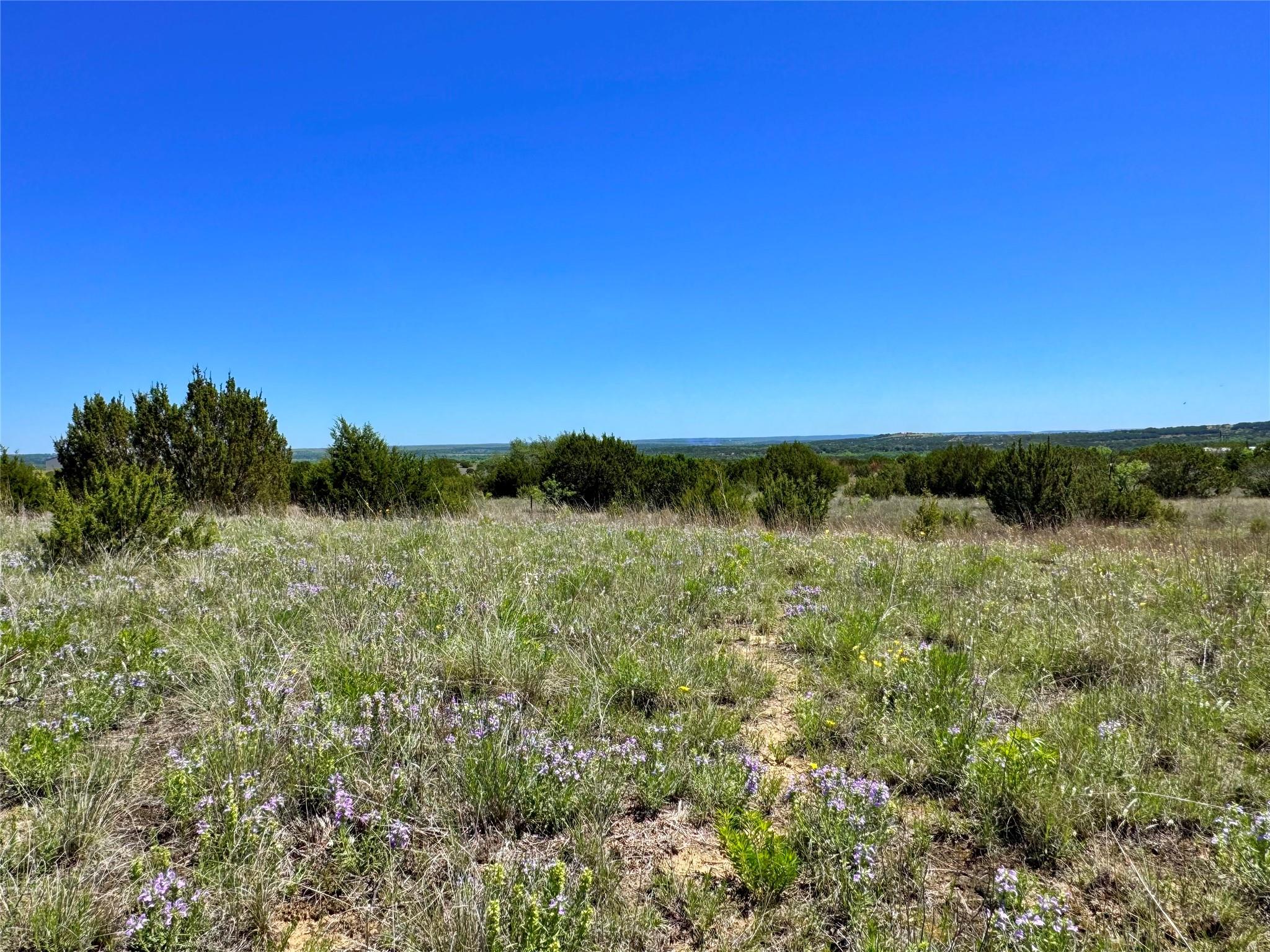 Tbd E Fm 581 Property Photo 2