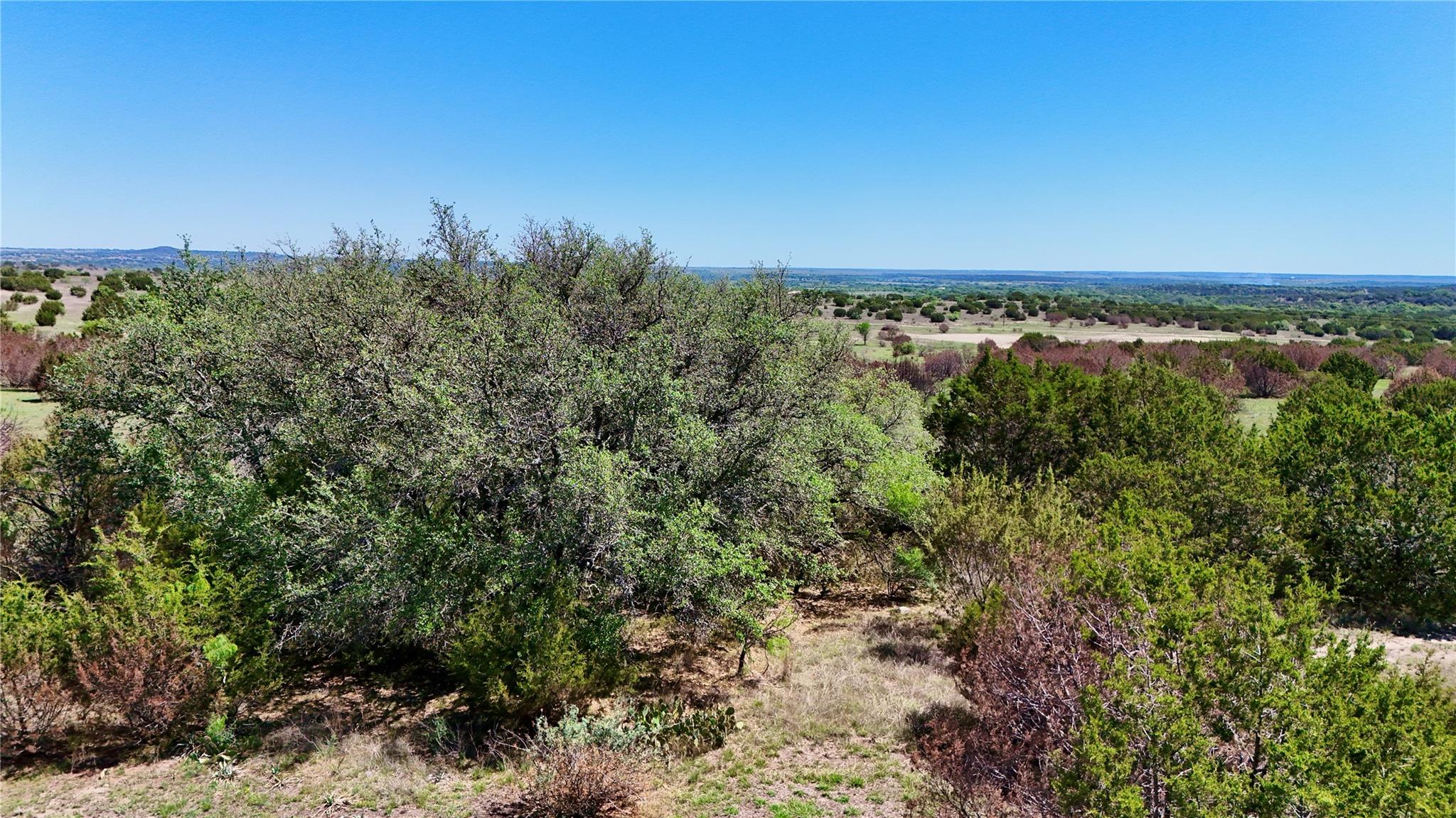 Tbd E Fm 581 Property Photo 3