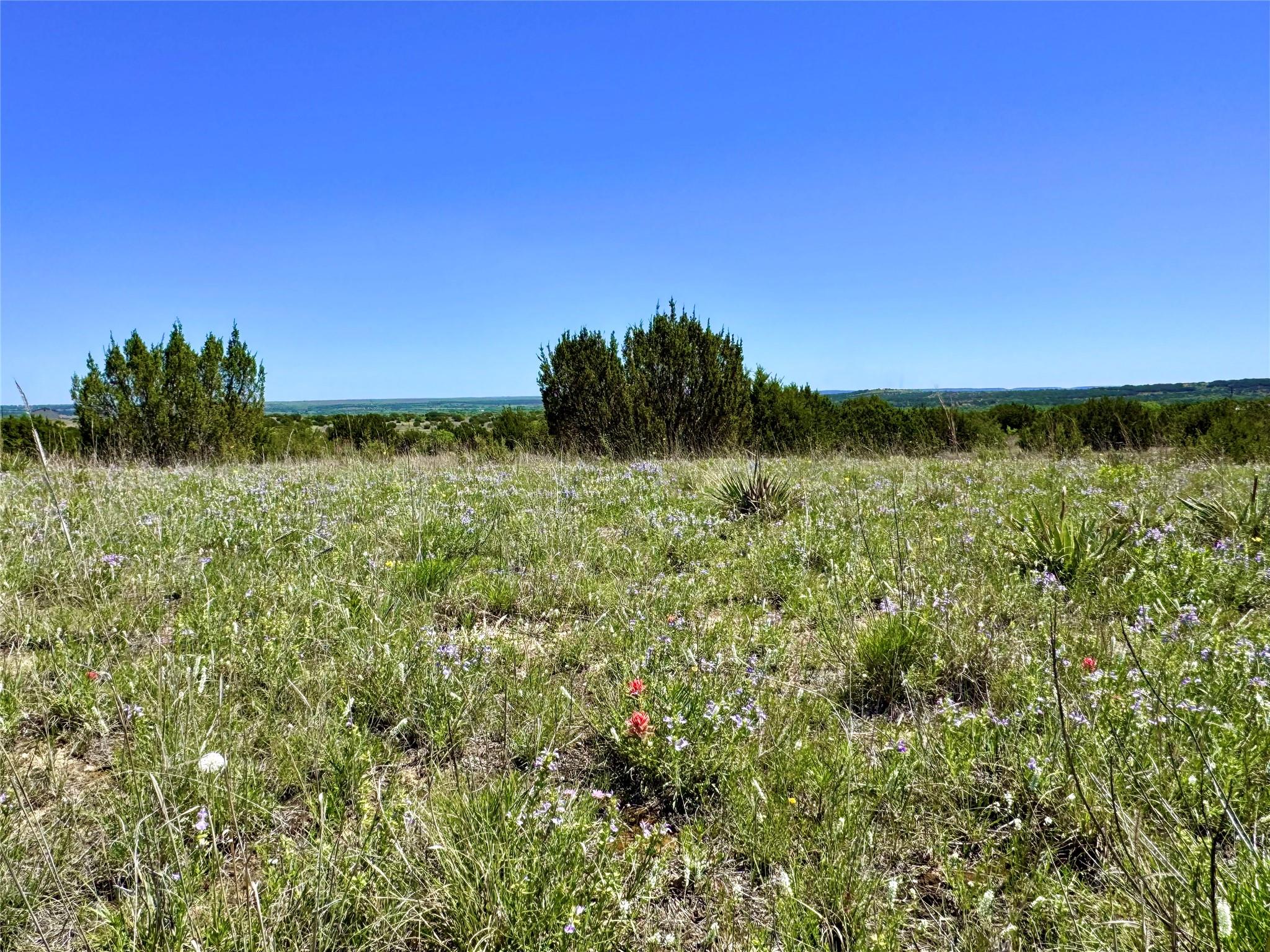 Tbd E Fm 581 Property Photo 4
