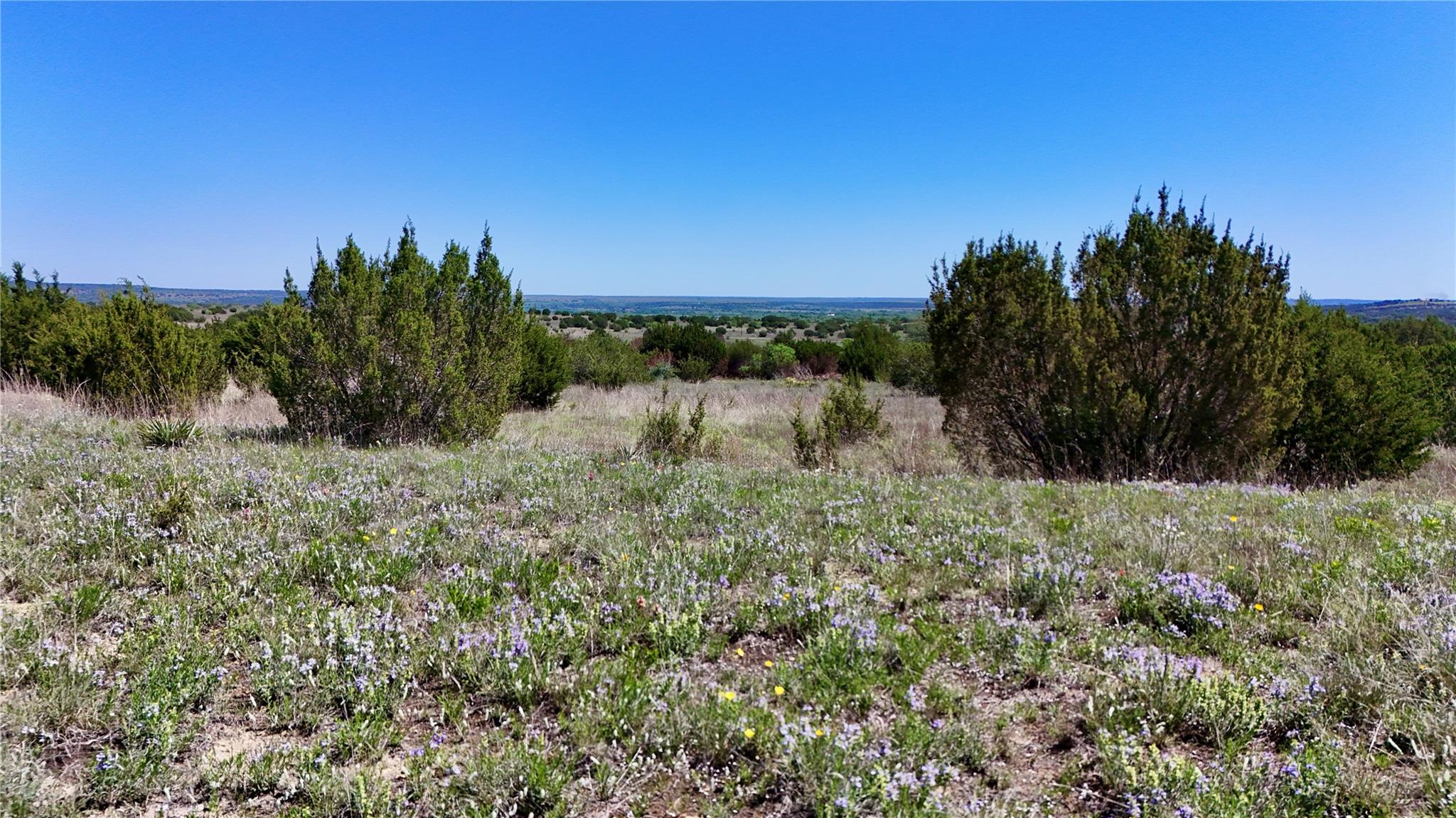 Tbd E Fm 581 Property Photo 7