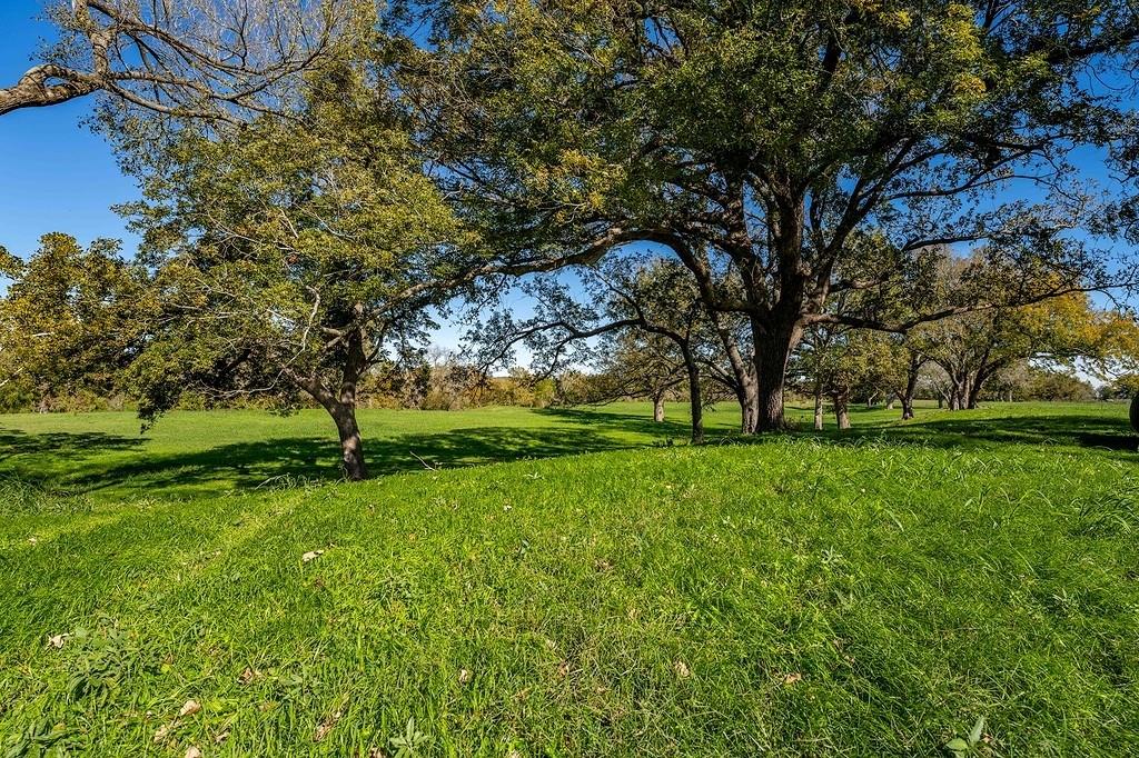 Lot 4 Fayette Shores Cove Property Photo 7