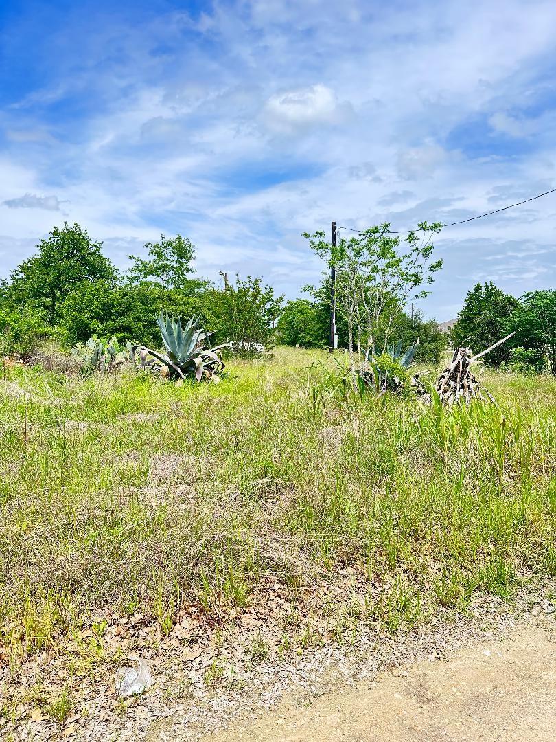 126 Wild Bird Loop Property Photo 1
