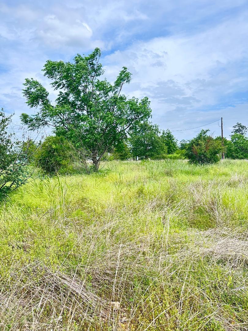 126 Wild Bird Loop Property Photo 6