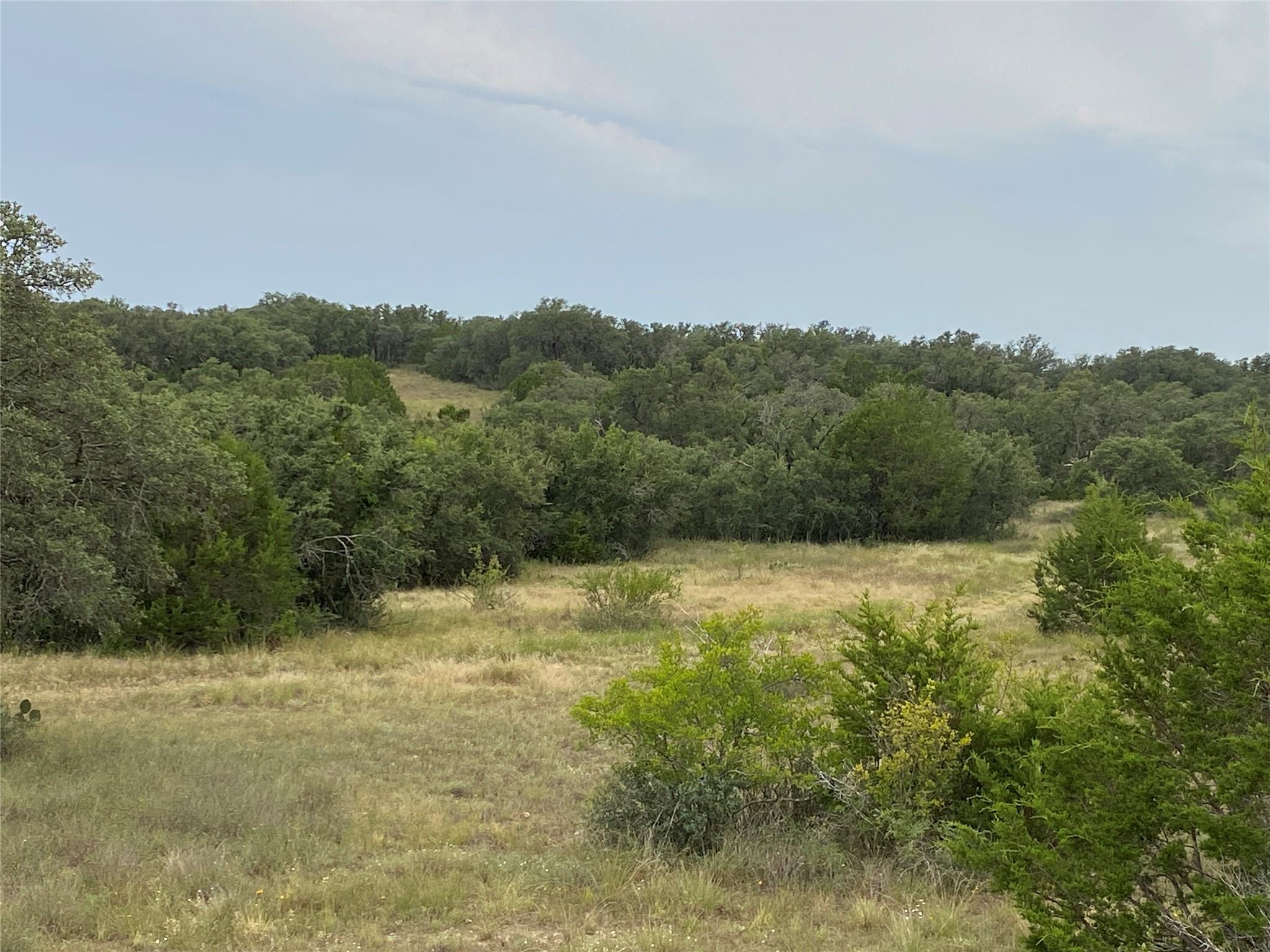 Tbd Cr 296 None Property Photo 1