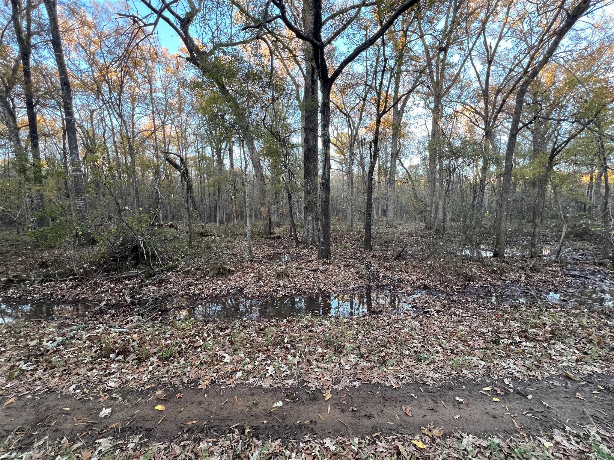 0 An County Road 354 None Property Photo 2