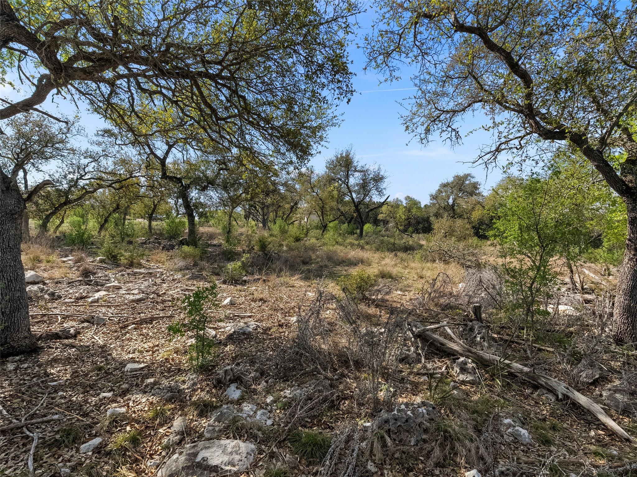 6542512 Property Photo 21