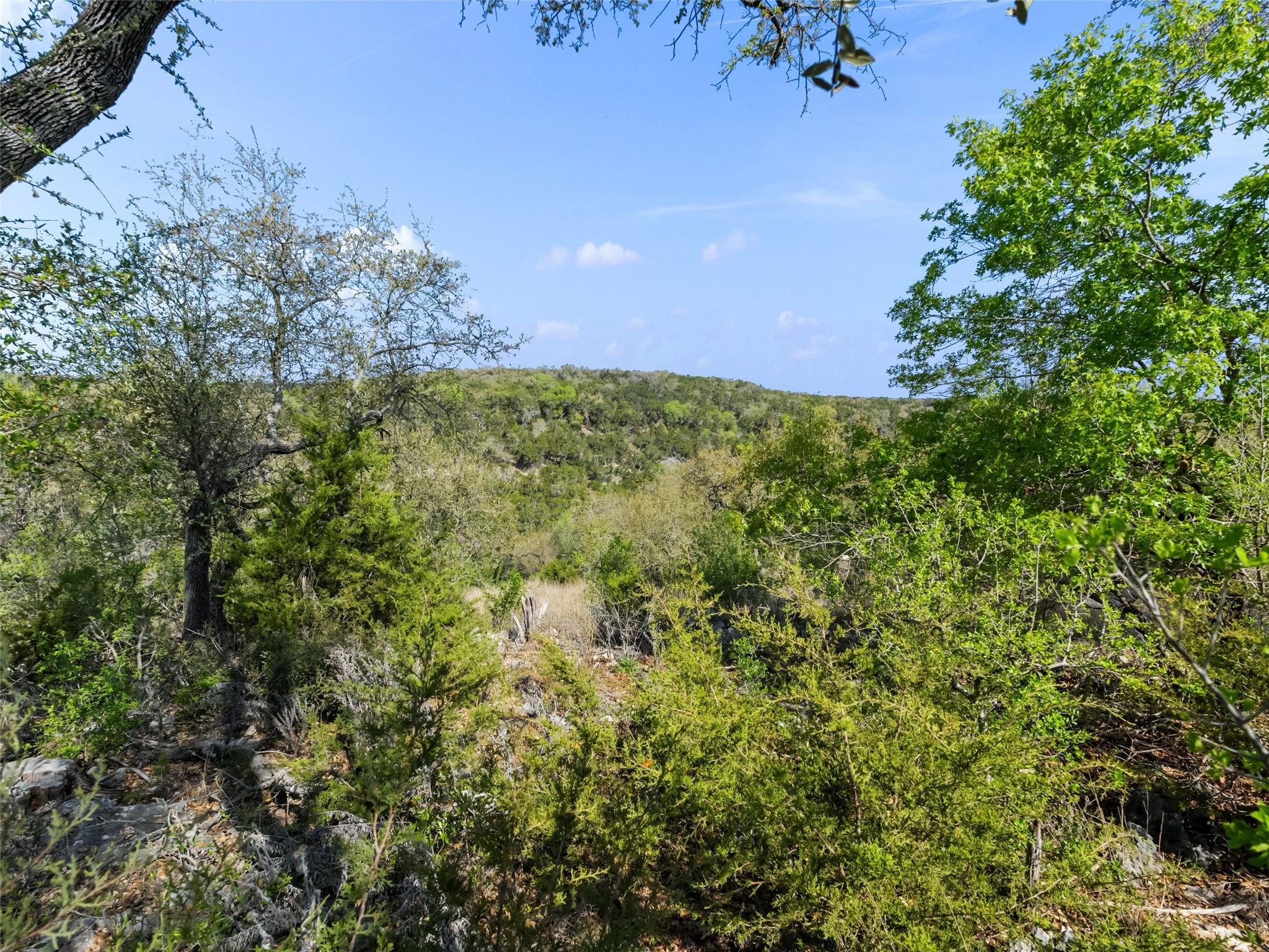 6542512 Property Photo 26