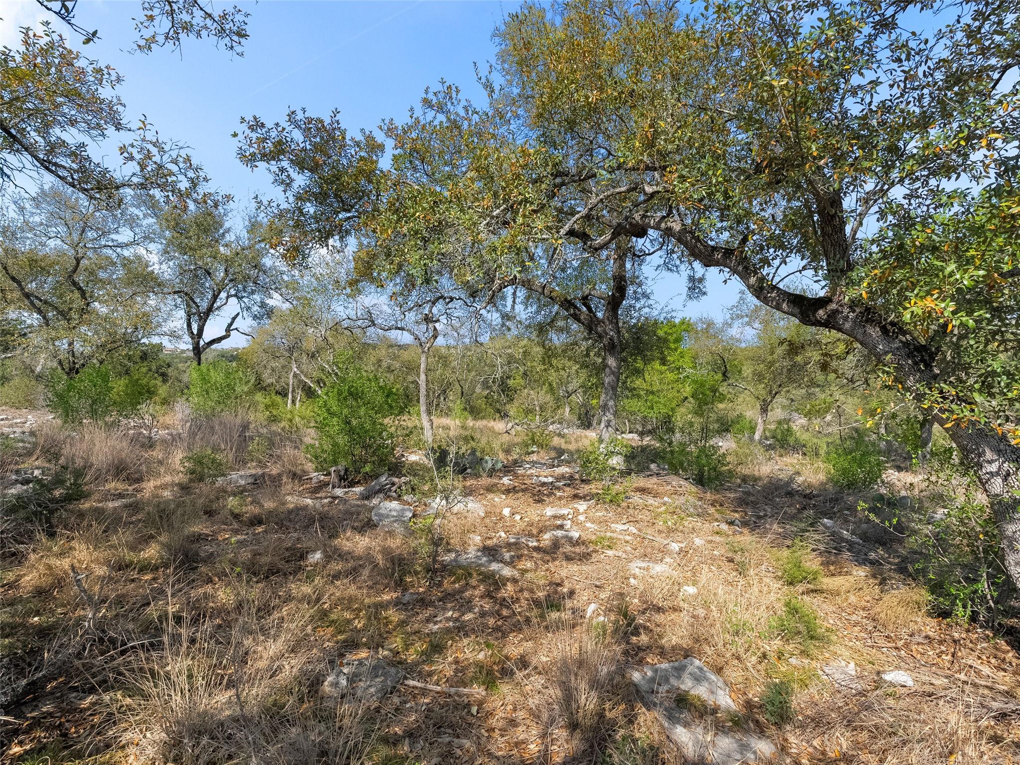 6542512 Property Photo 31