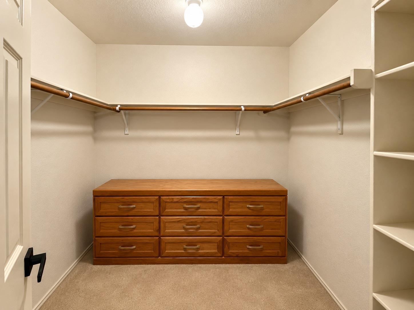 13301 Forest Sage St Property Photo 6