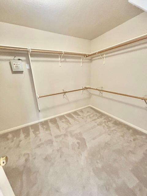 8304 Fern Bluff Ave Property Photo 28