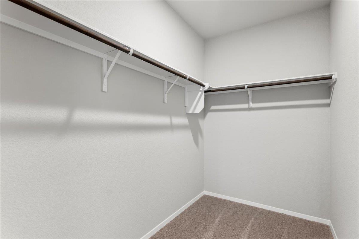 2713 Totley Rd Property Photo 19