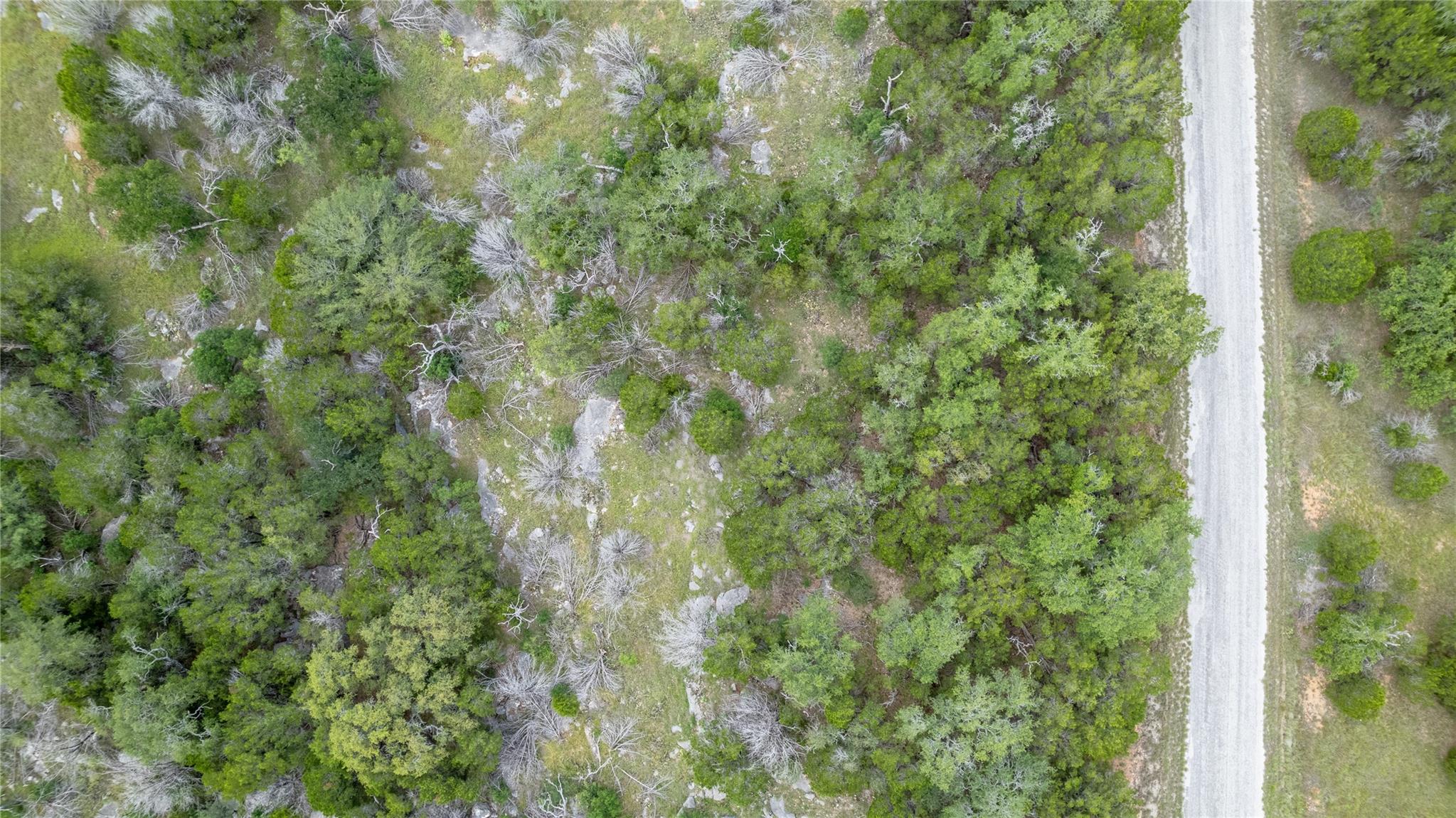 Hb Lot K10033 Mountain Dew None Property Photo 4
