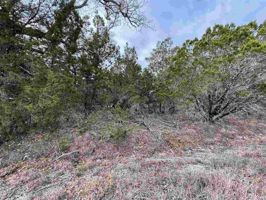 Hb Lot K10033 Mountain Dew None Property Photo 13