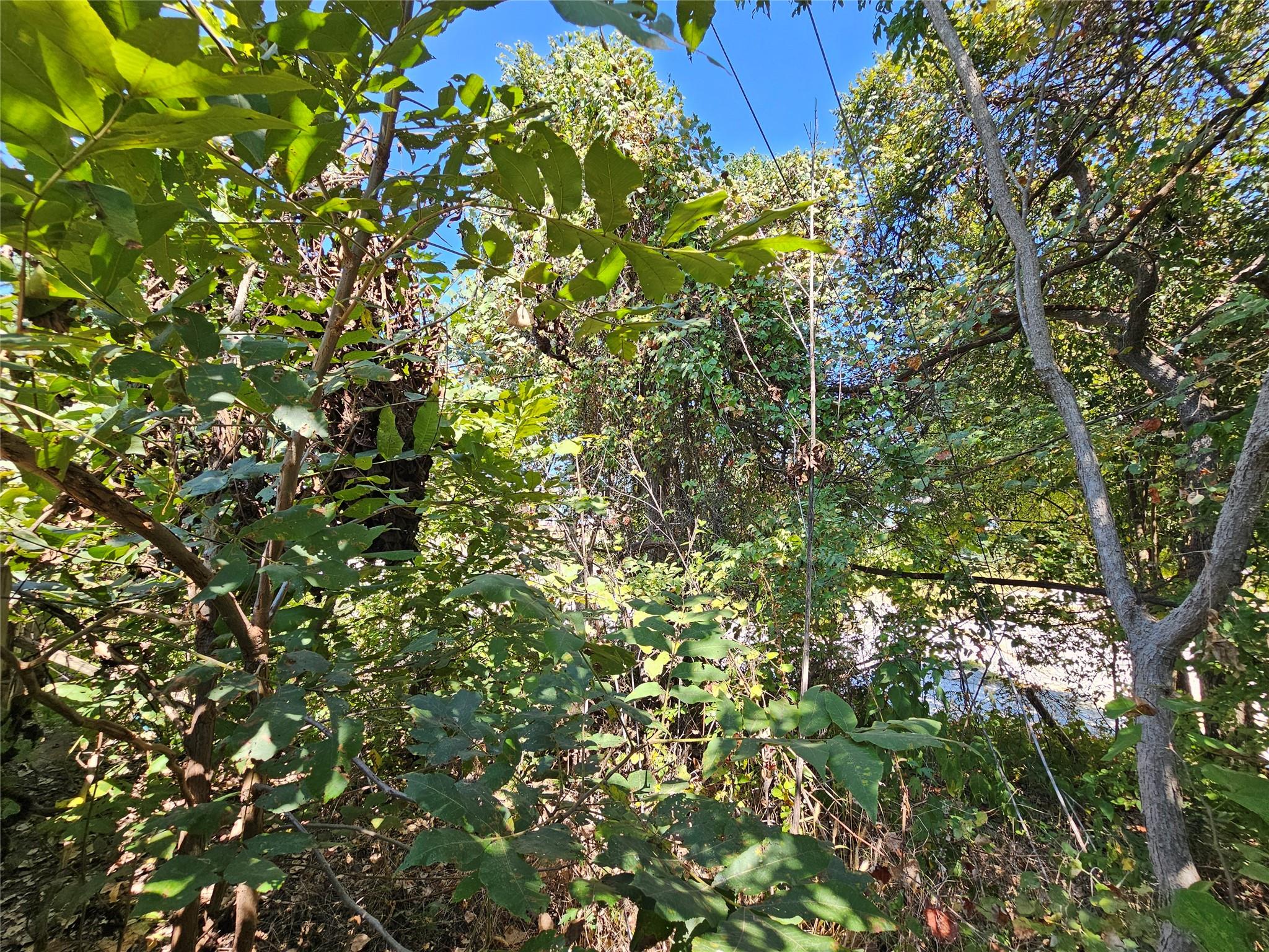 914 Hermitage Dr Property Photo 32