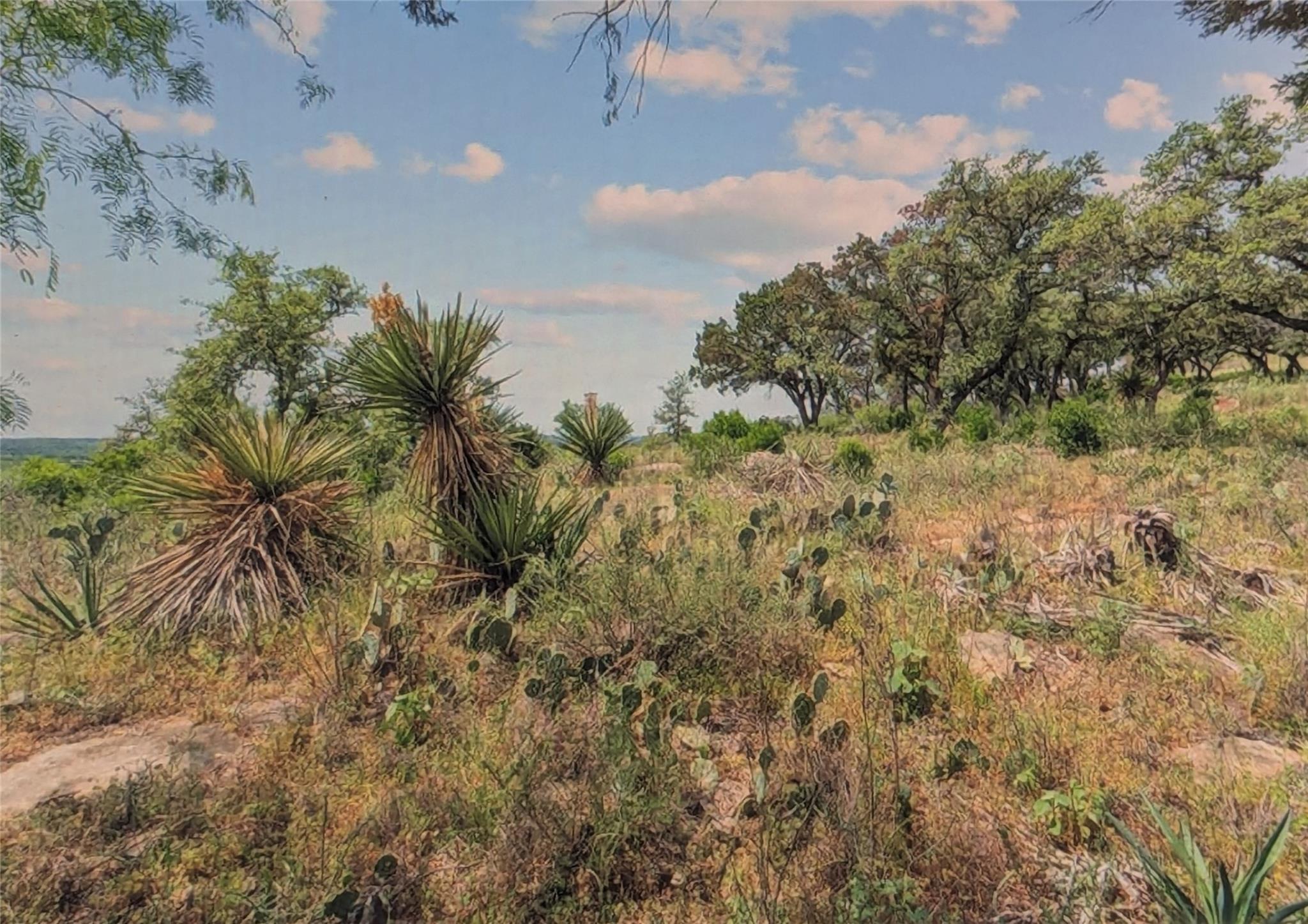 Lot 68 War Bonnet Ridge None Property Photo 6