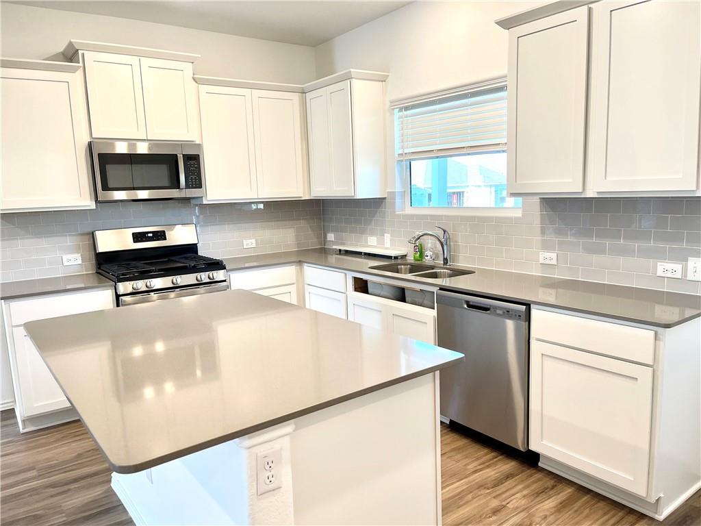 101 Blue Blaze Trl Property Photo 4