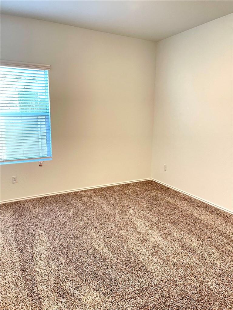 101 Blue Blaze Trl Property Photo 15