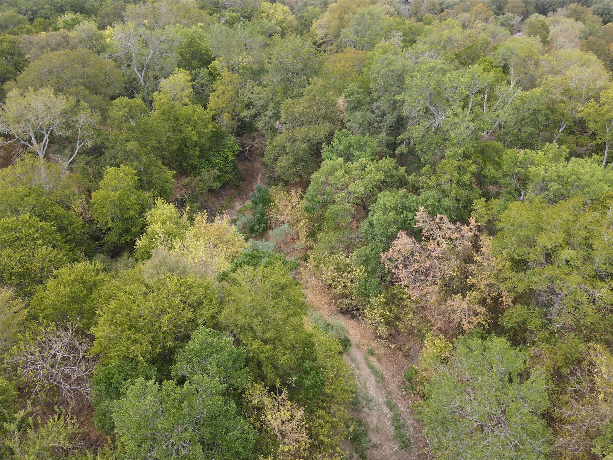 1285 Burdette Wells Rd Property Photo 6
