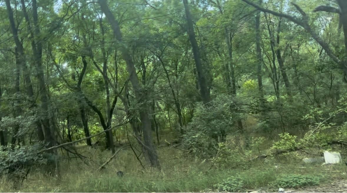 4204 Kings Ct Property Photo 1