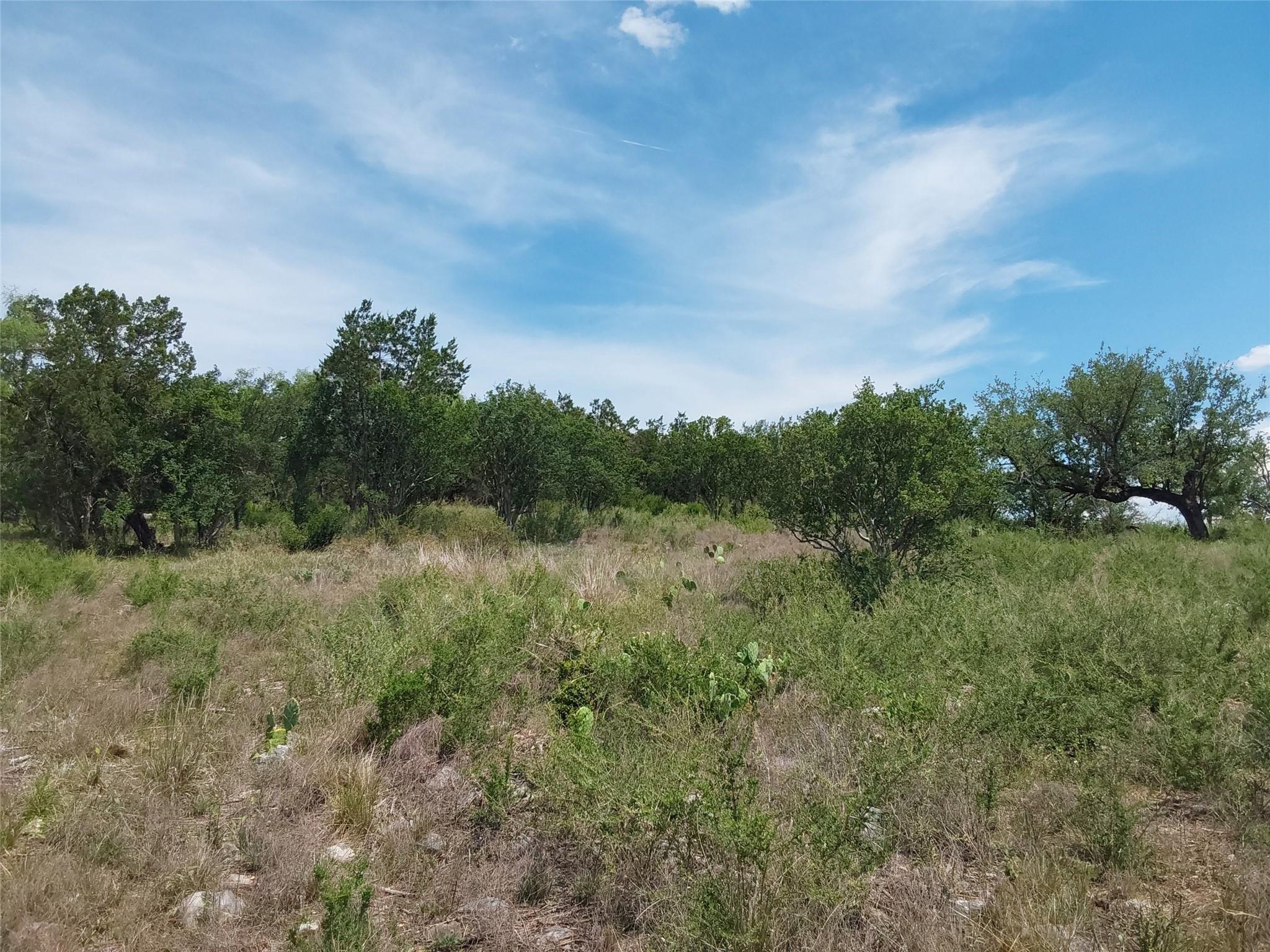 313 Eagle Basin Cir Property Photo 1